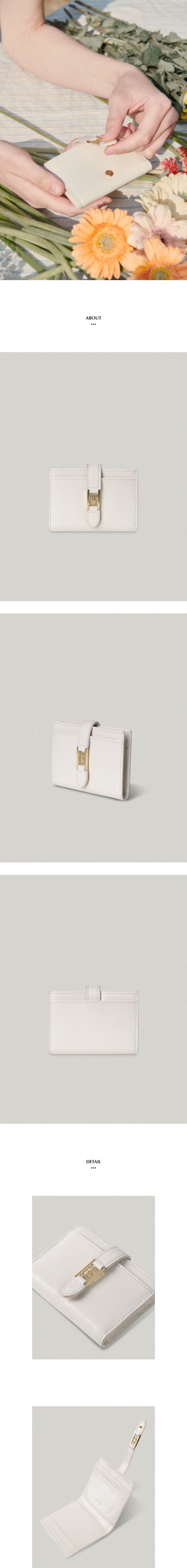 Classic Logo Card Wallet In Ivory Cm