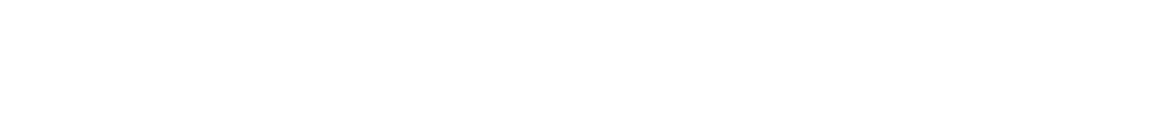 tesla greatest drive in jeju logo