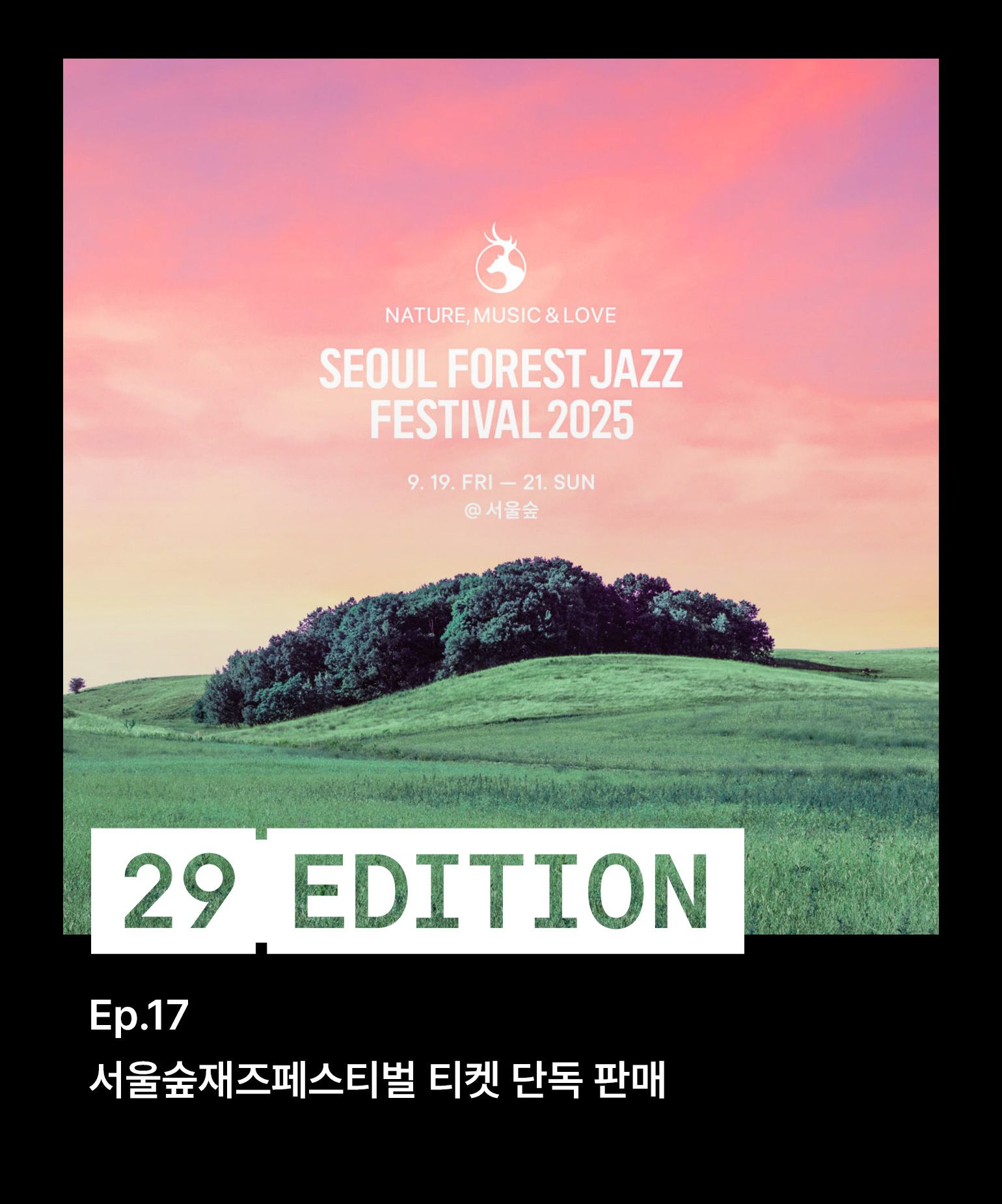 29에디션