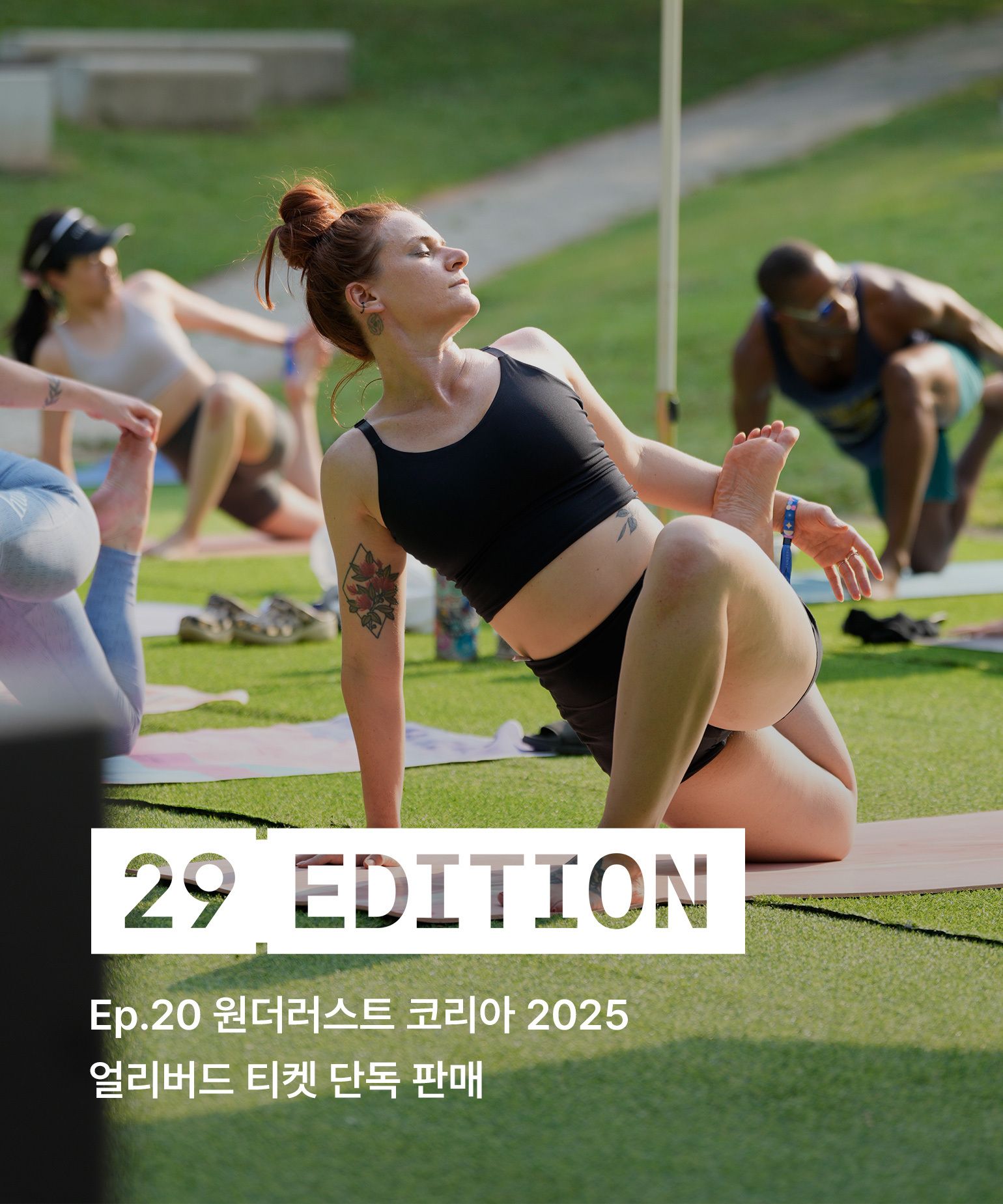29에디션