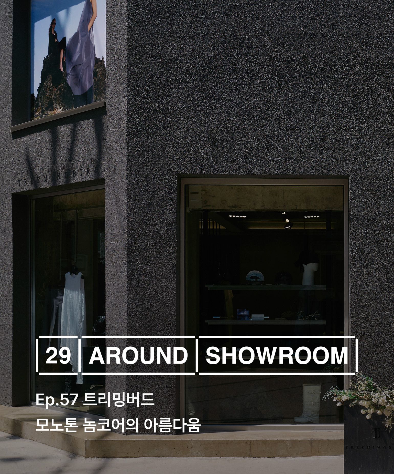 29 어라운드 쇼룸