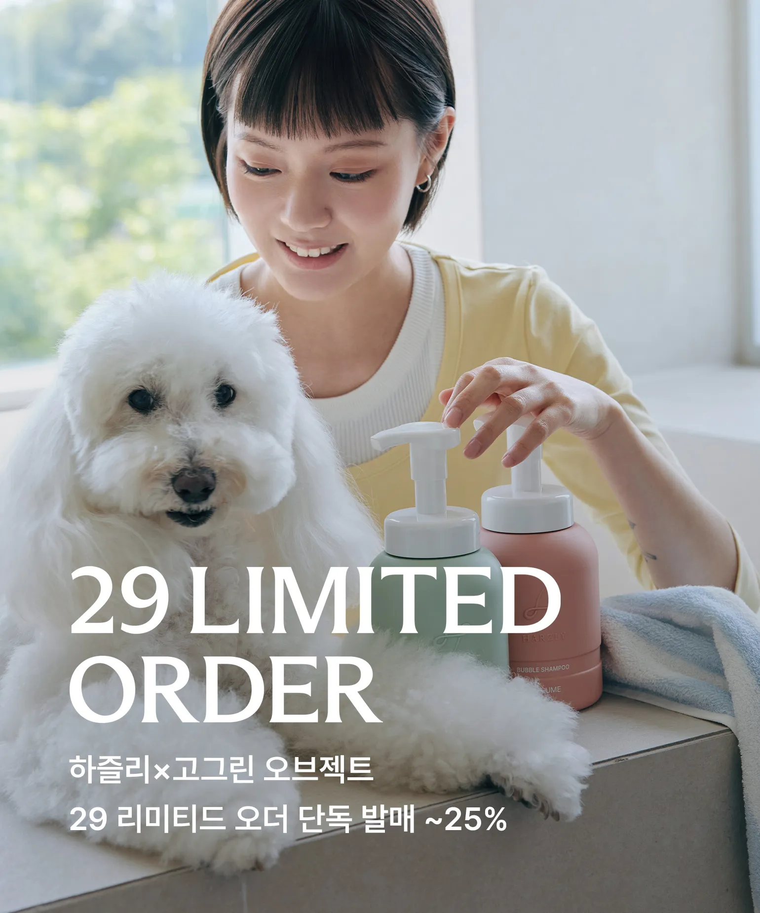 29 리미티드 오더