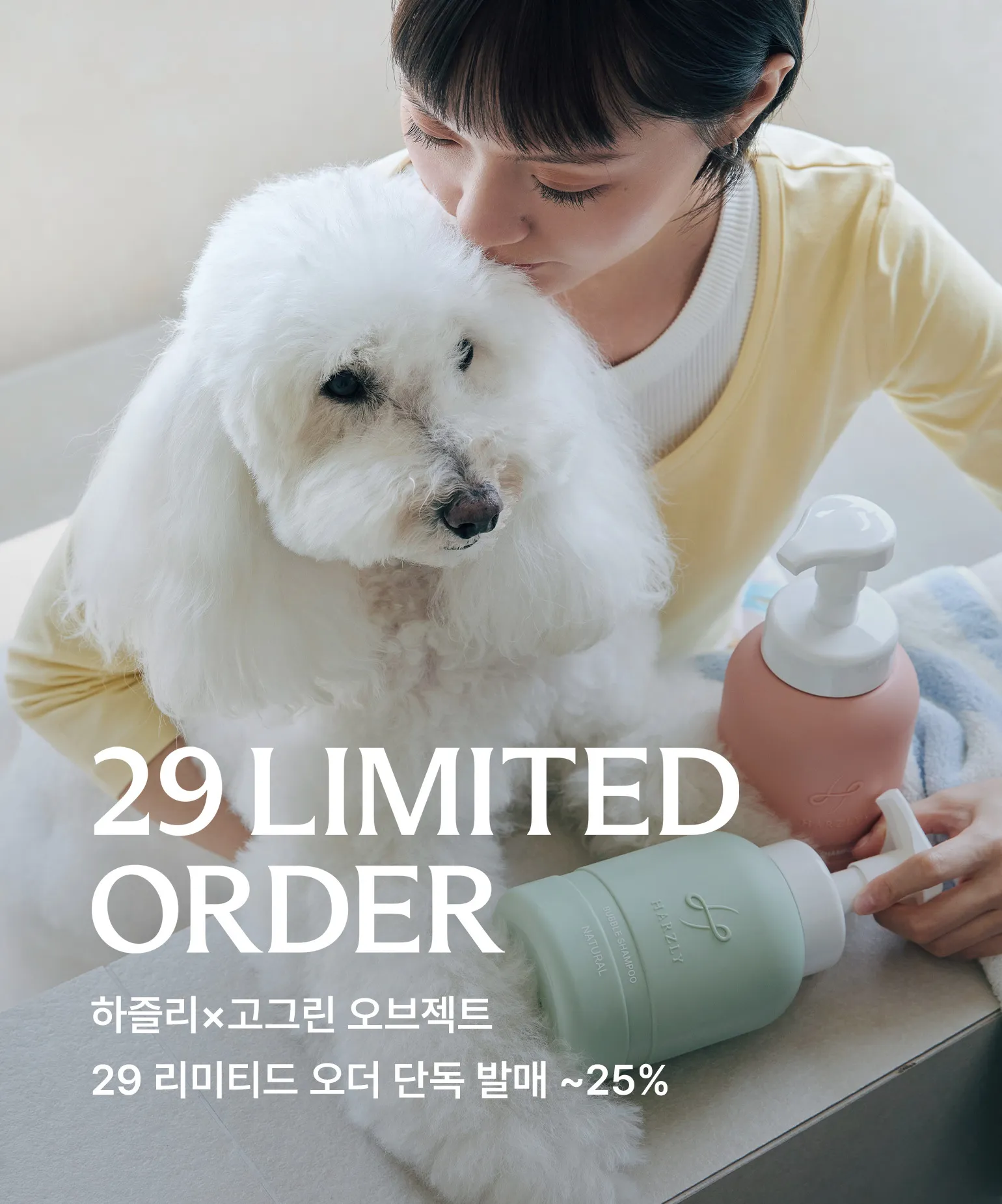 29 리미티드 오더