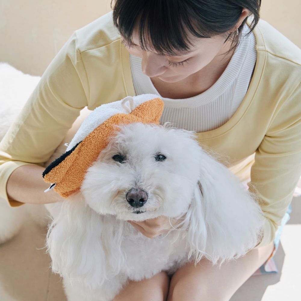 하즐리×고그린오브젝트