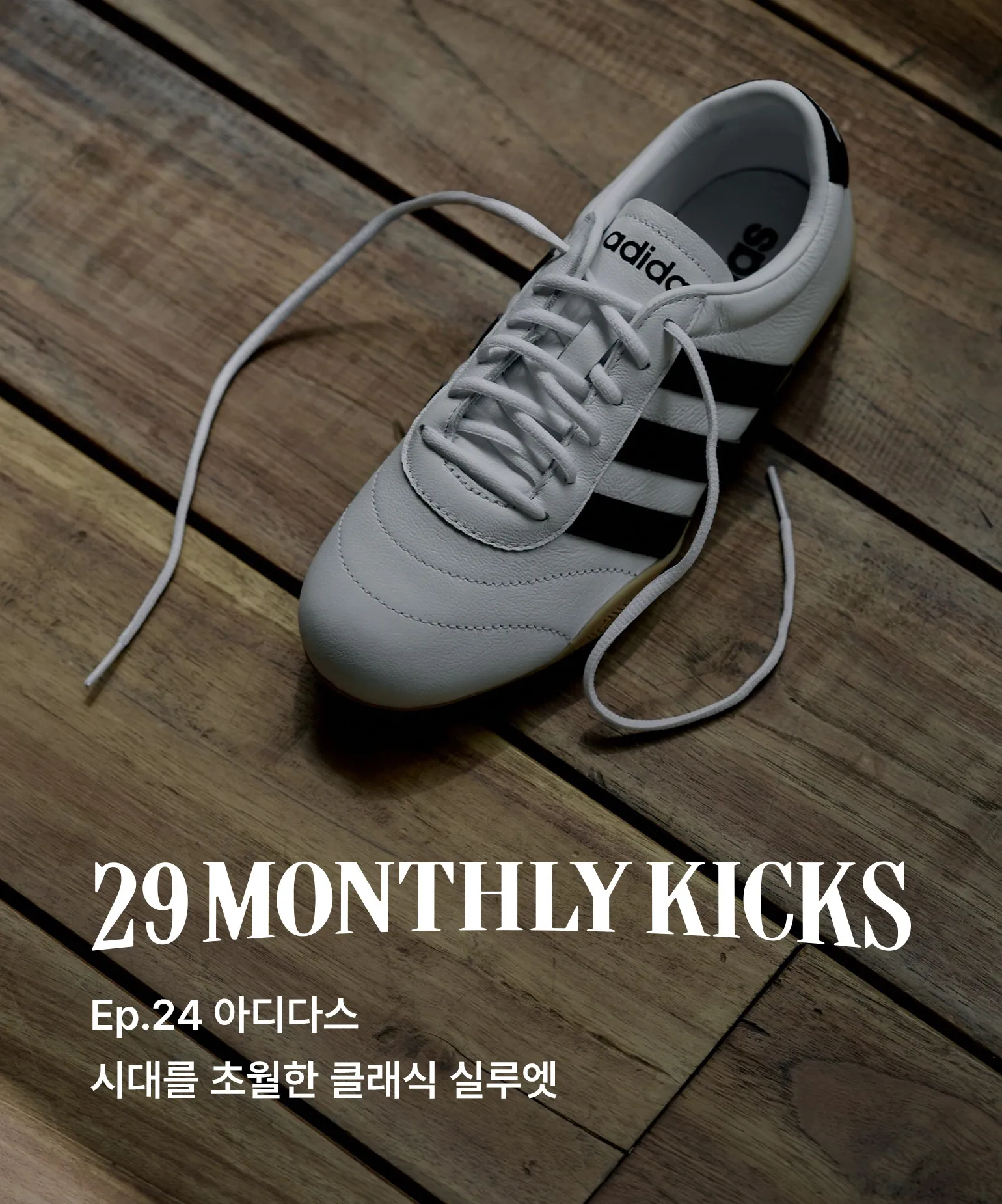 29 먼슬리 킥스