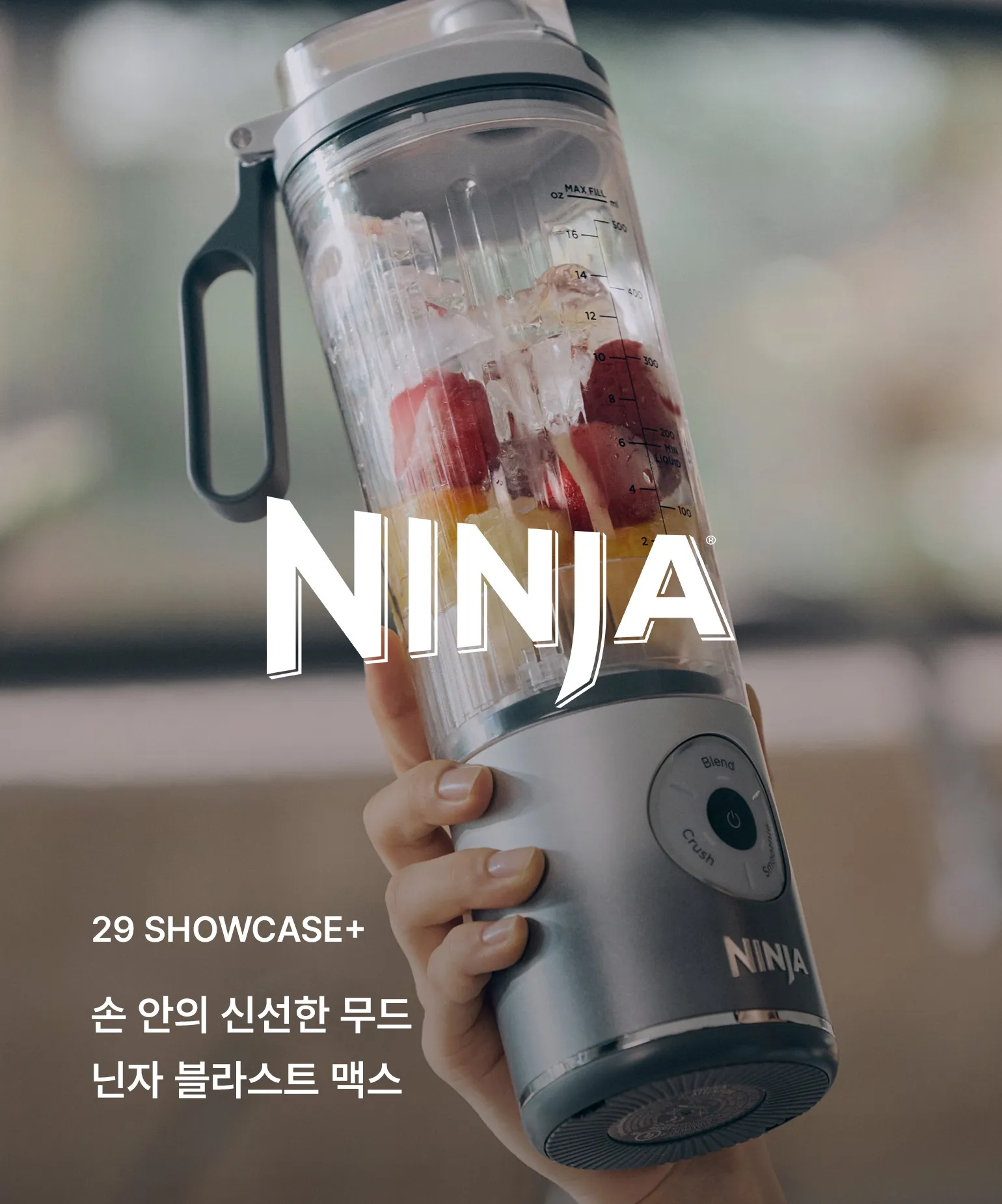 29 쇼케이스+