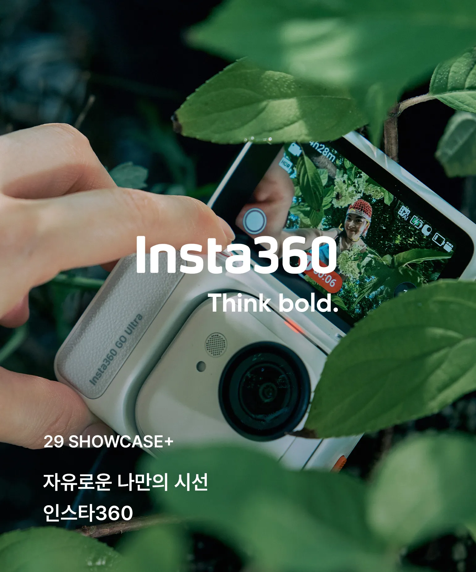 29 쇼케이스+