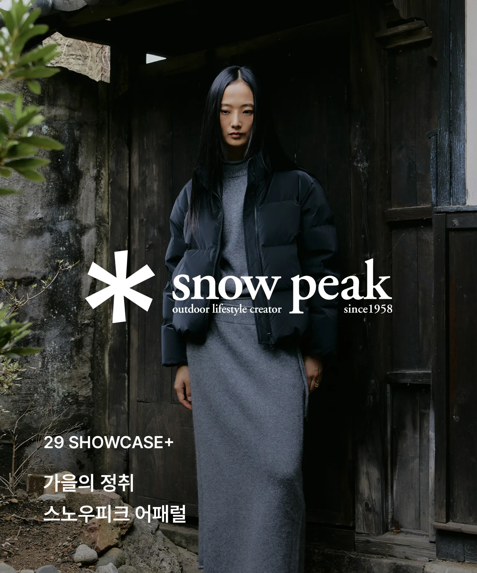 29 쇼케이스+