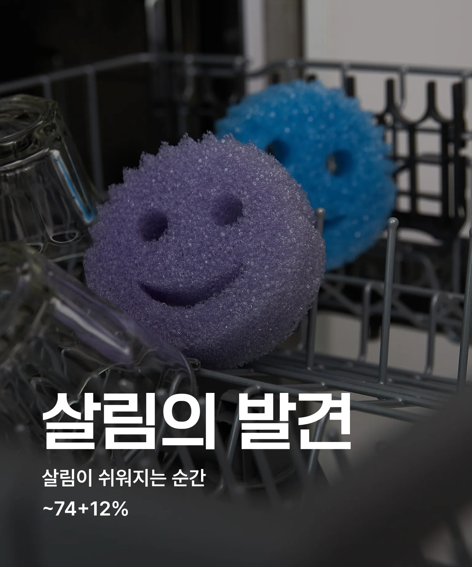 살림의 발견