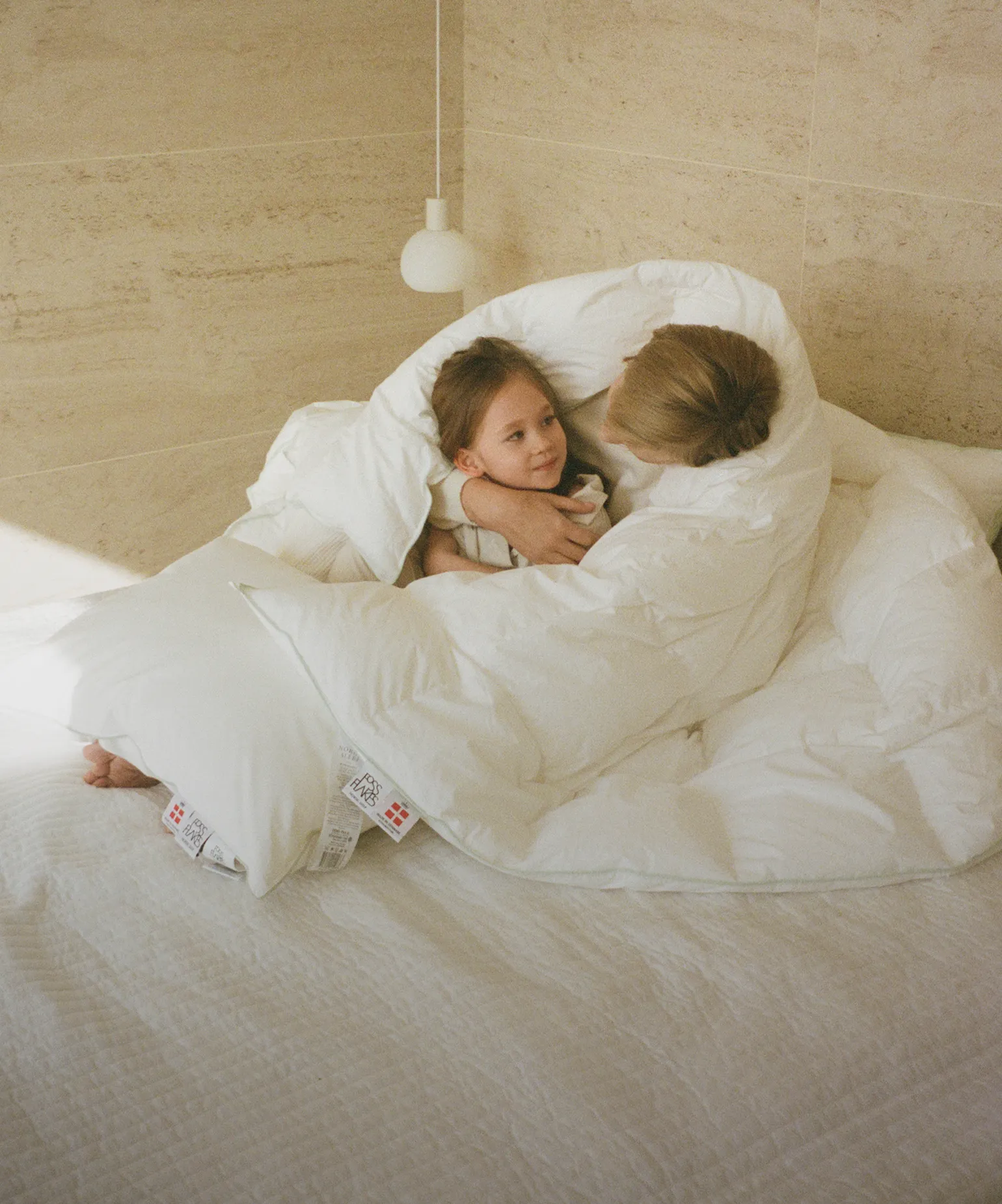 솔핑이 찾은
포근한 휴식