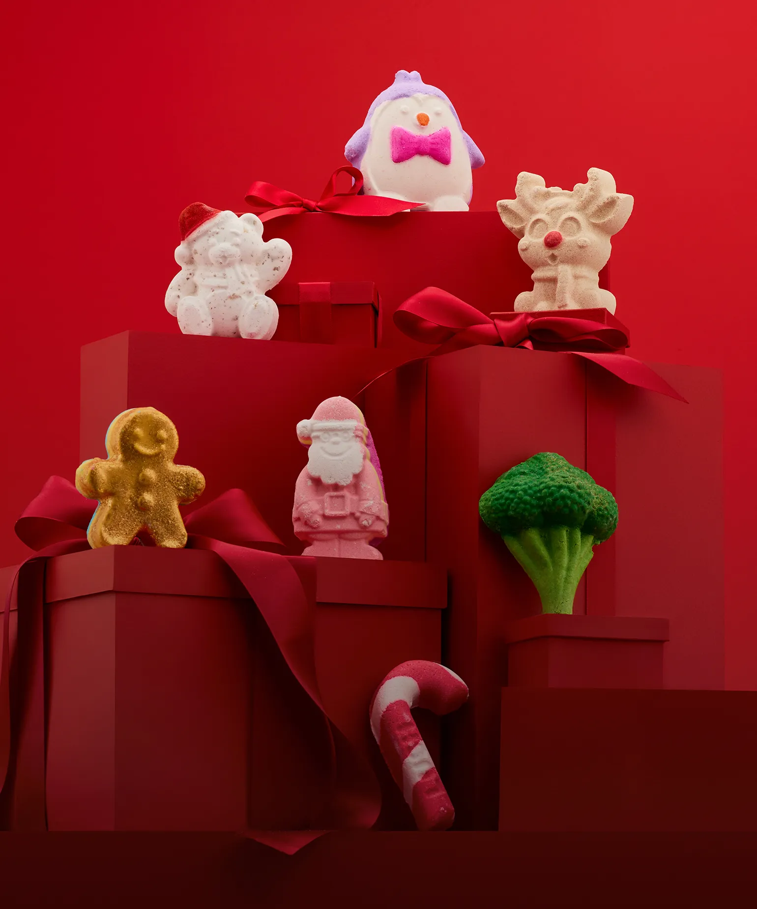 자연이 전해준
연말 선물