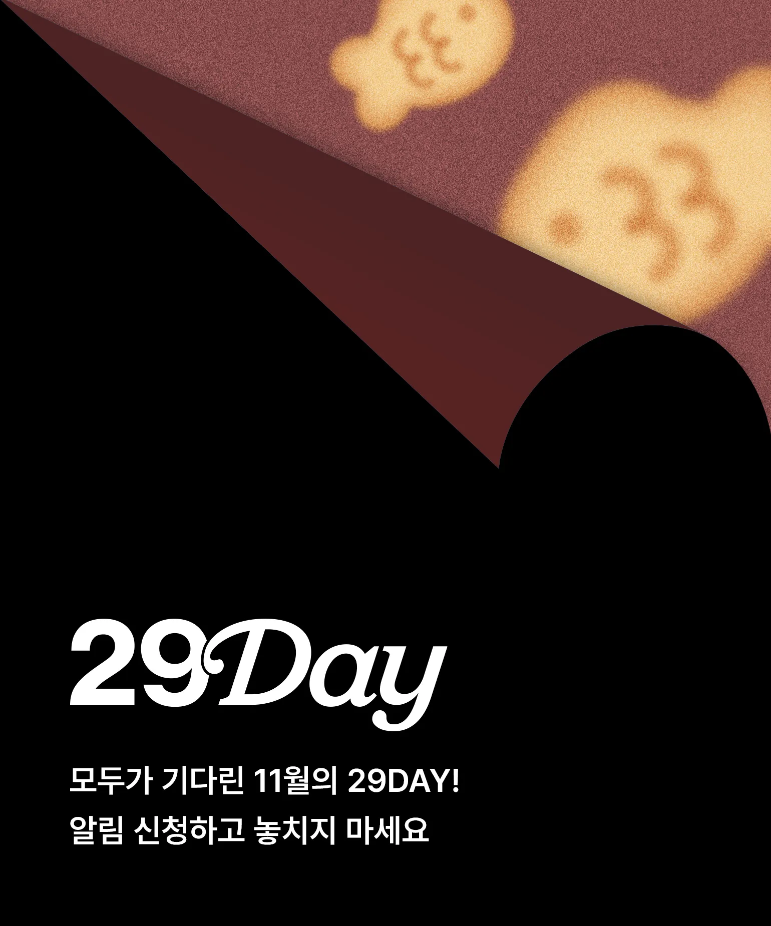 11월 이구데이 티징