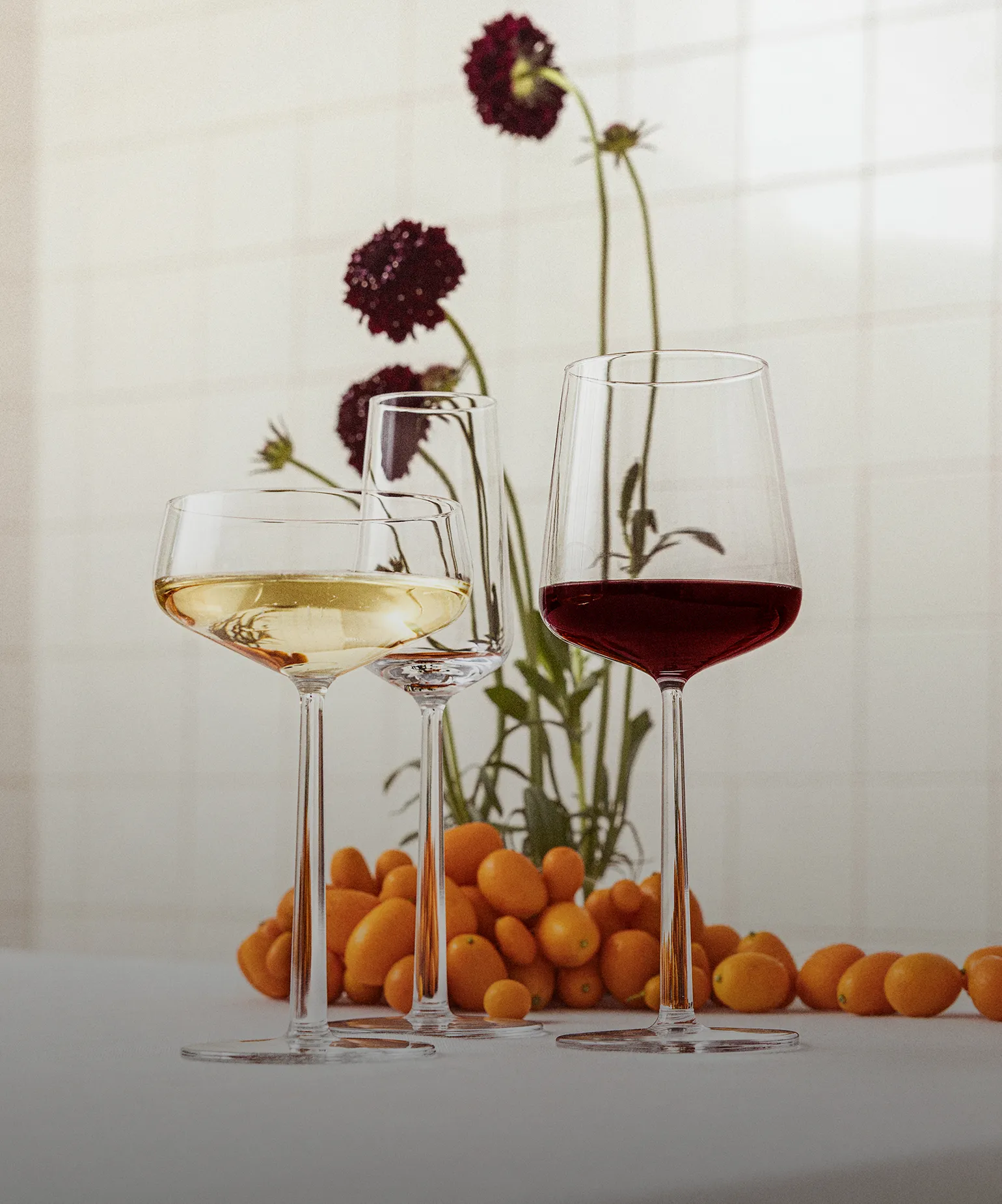 지금 준비하는 홀리데이