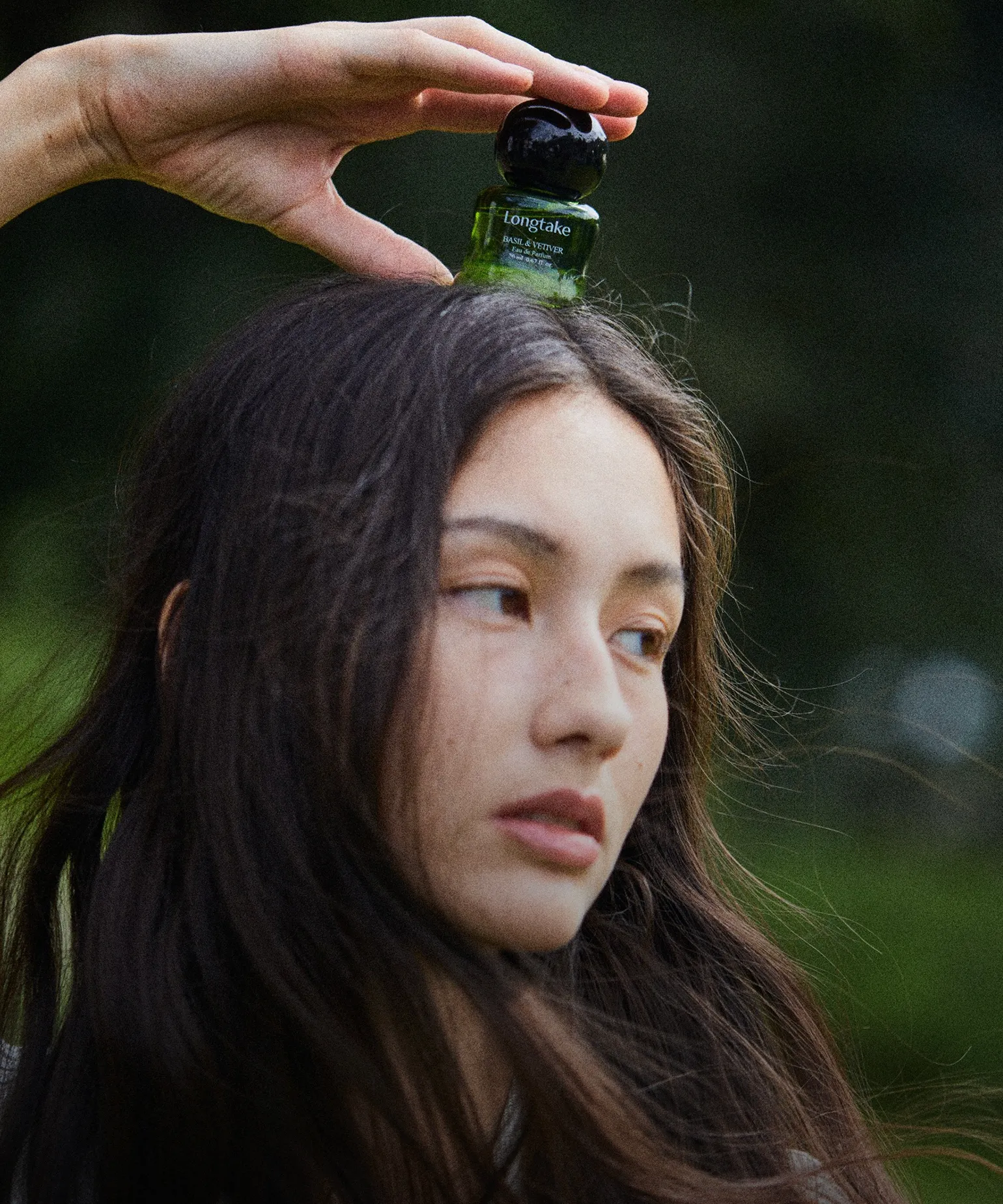 깊은 숲의 잔향