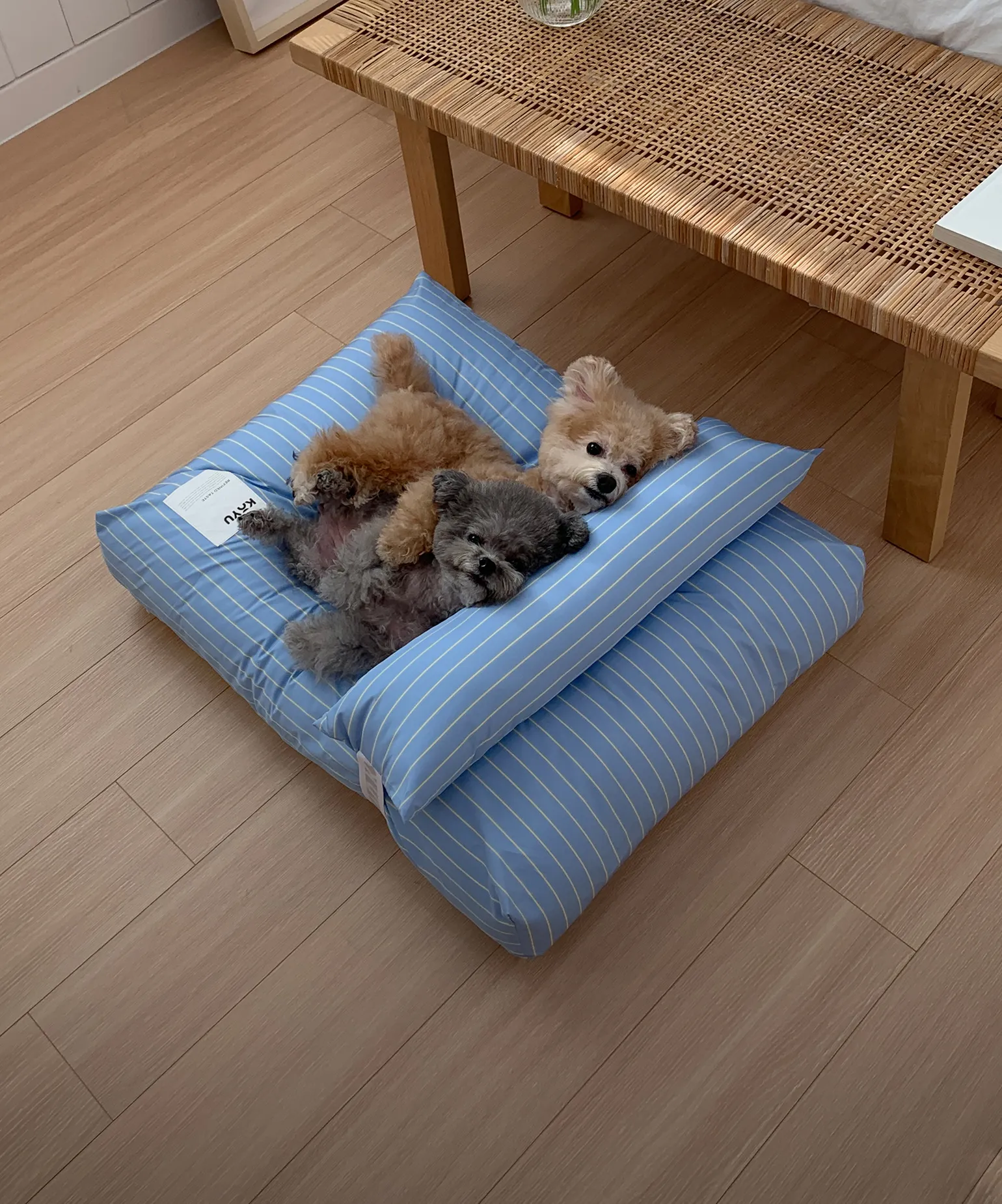 나란히 놓인 포근함