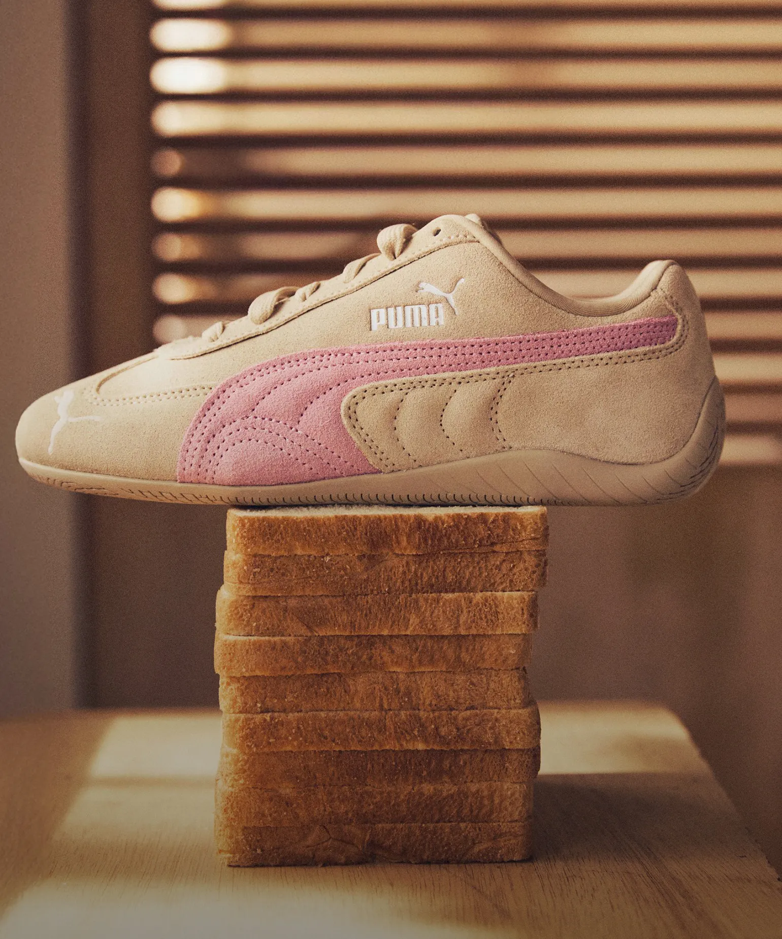 선이 살아있는 발걸음