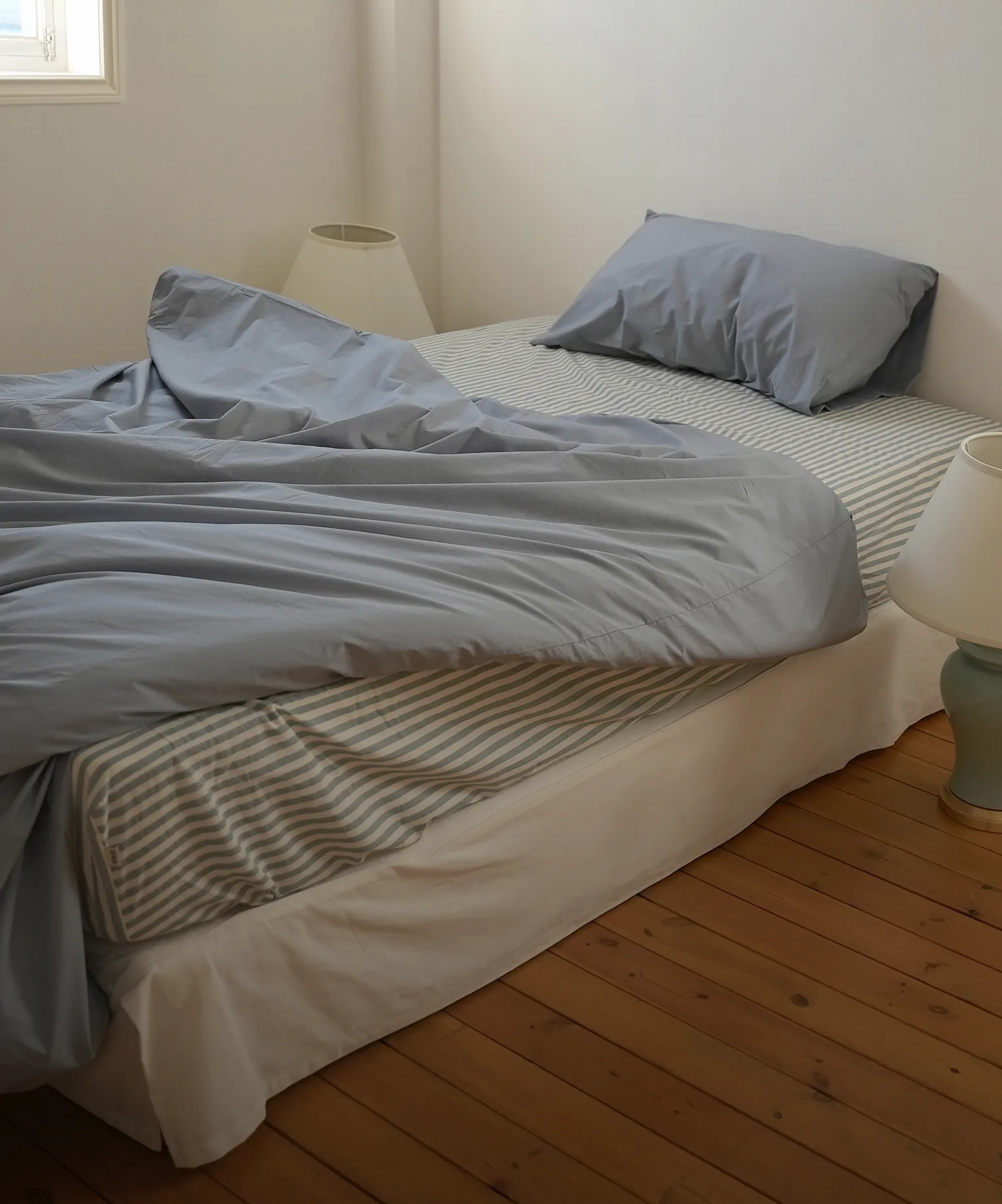 이주의 새로운 발견