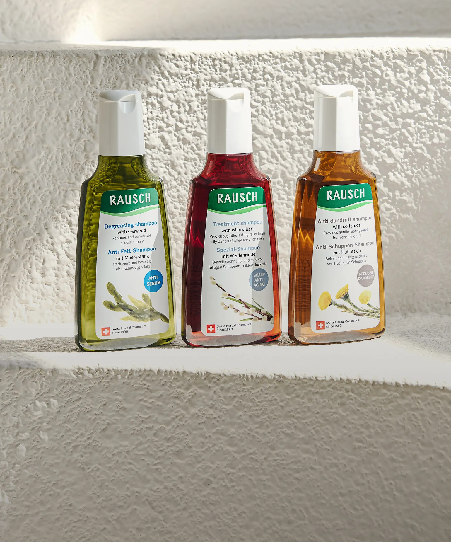 오직 두피에 집중