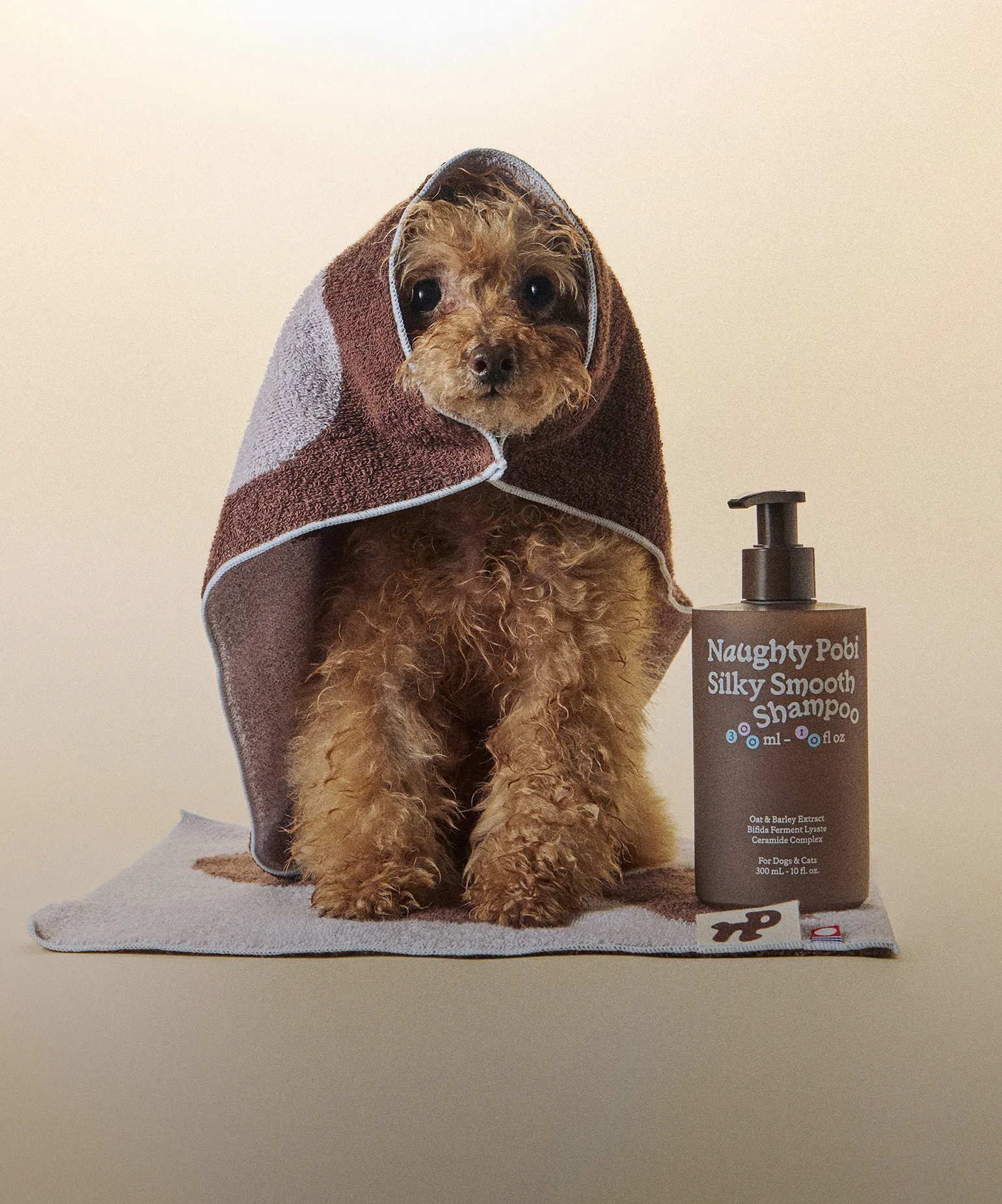 함께 사는 친구를 위한