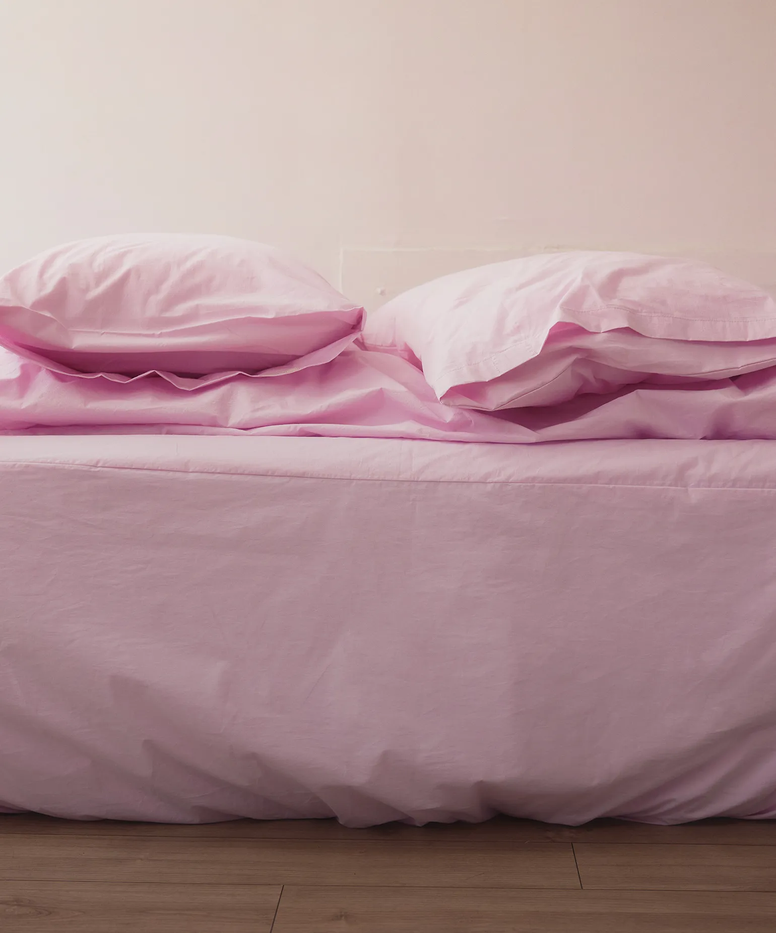 새롭게 발견한 취향