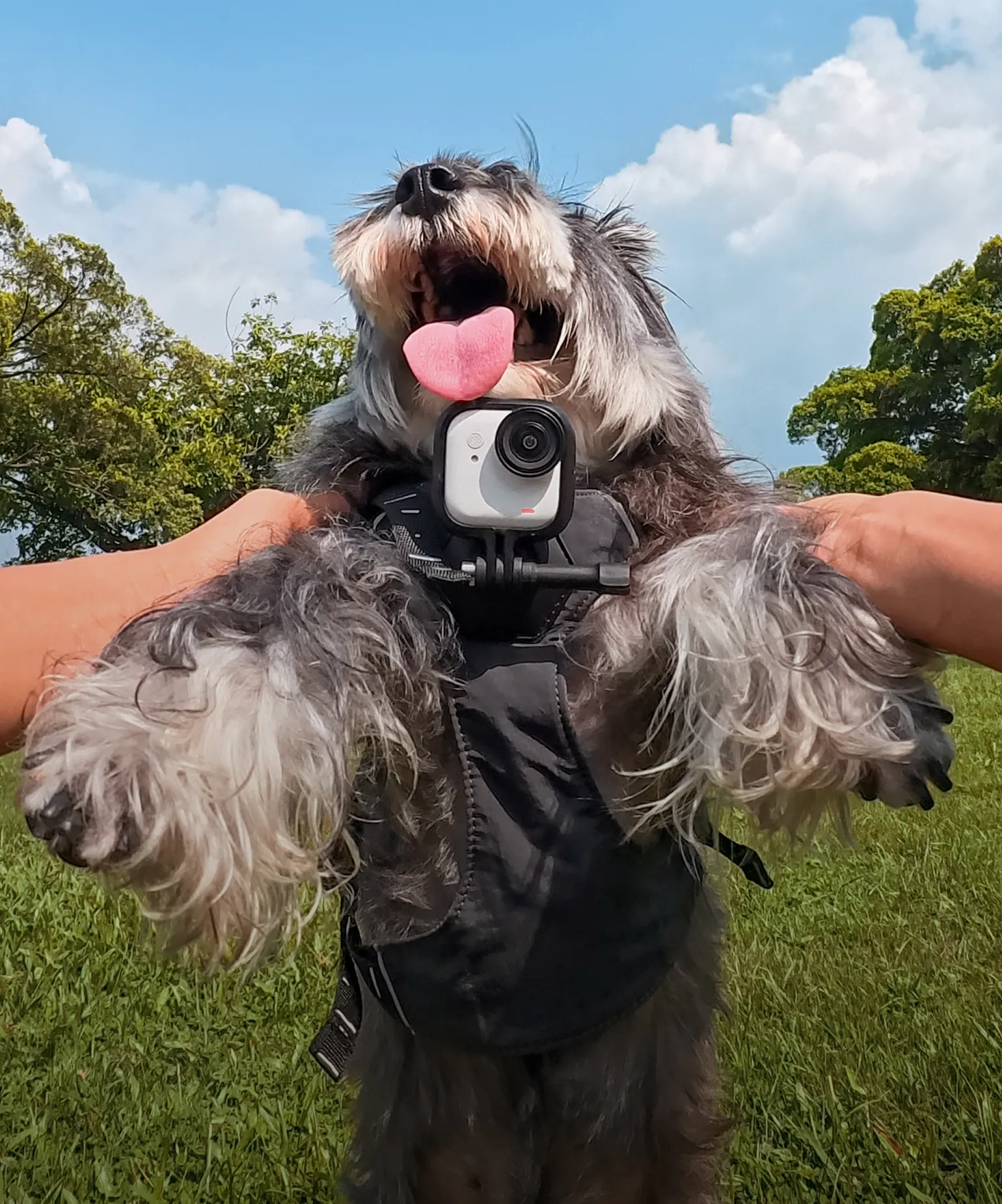 순간의 모든 것을 기록해요