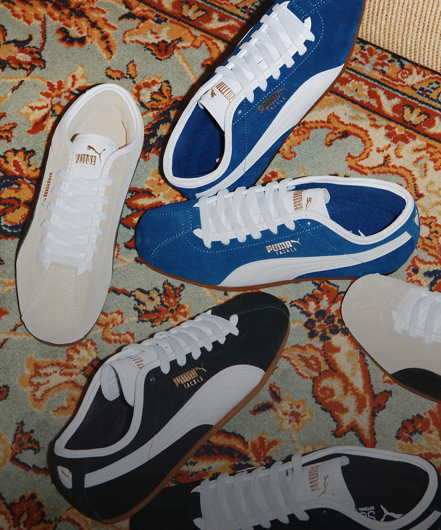 오직 여기에만 있는 신상