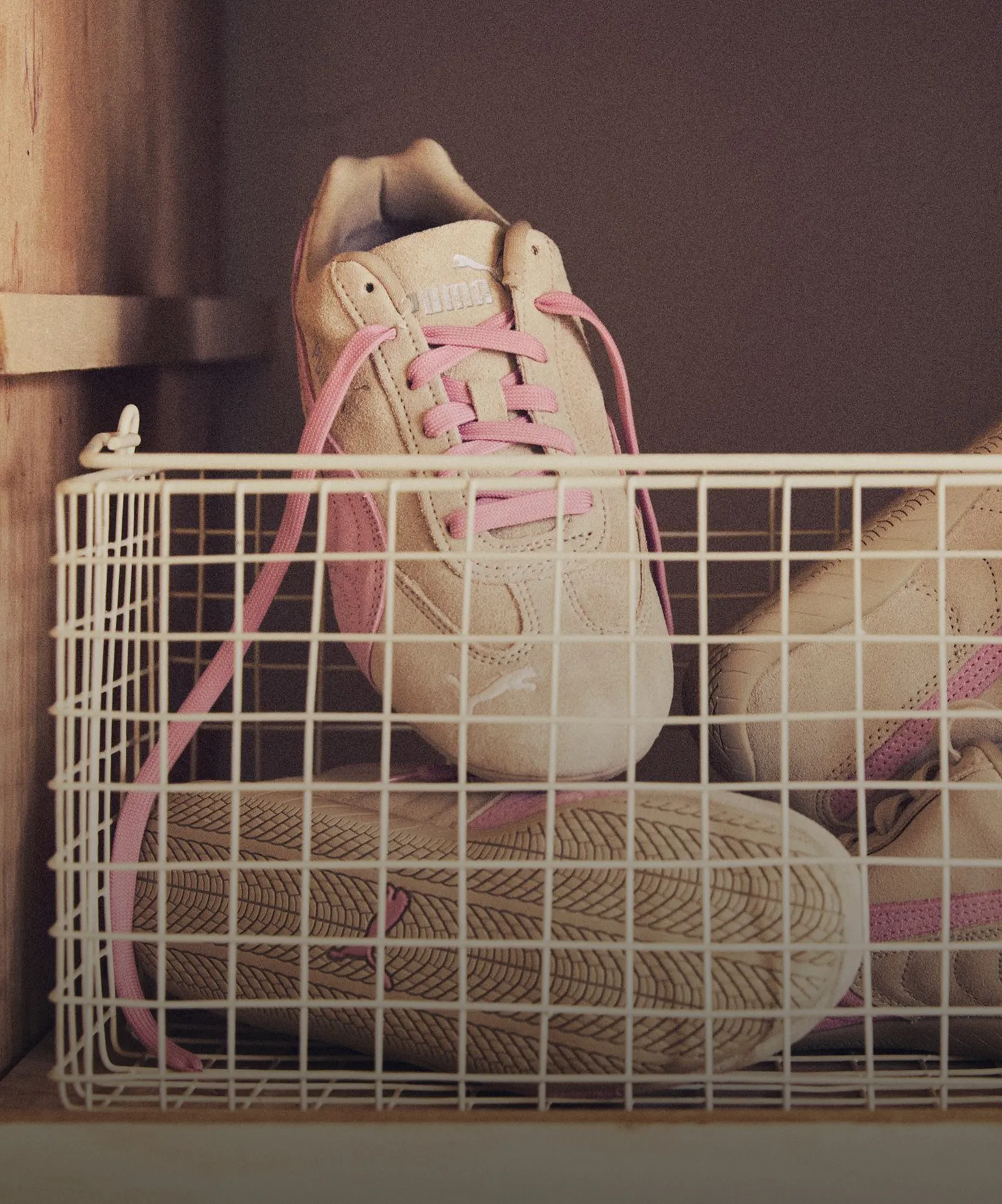 혜택으로 채우는 신발장