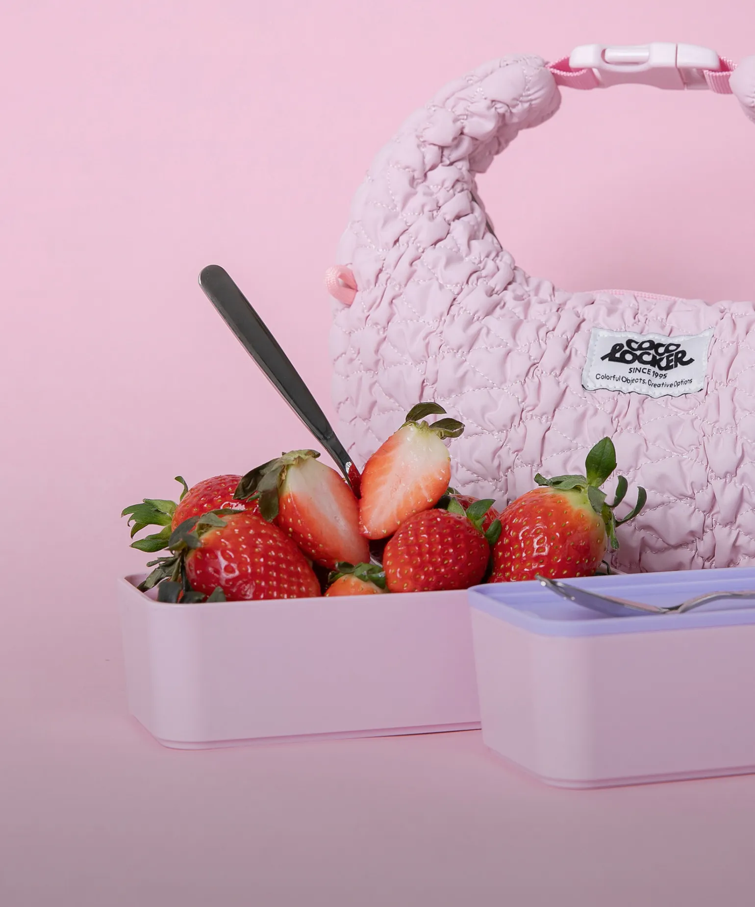 들고 싶은 도시락