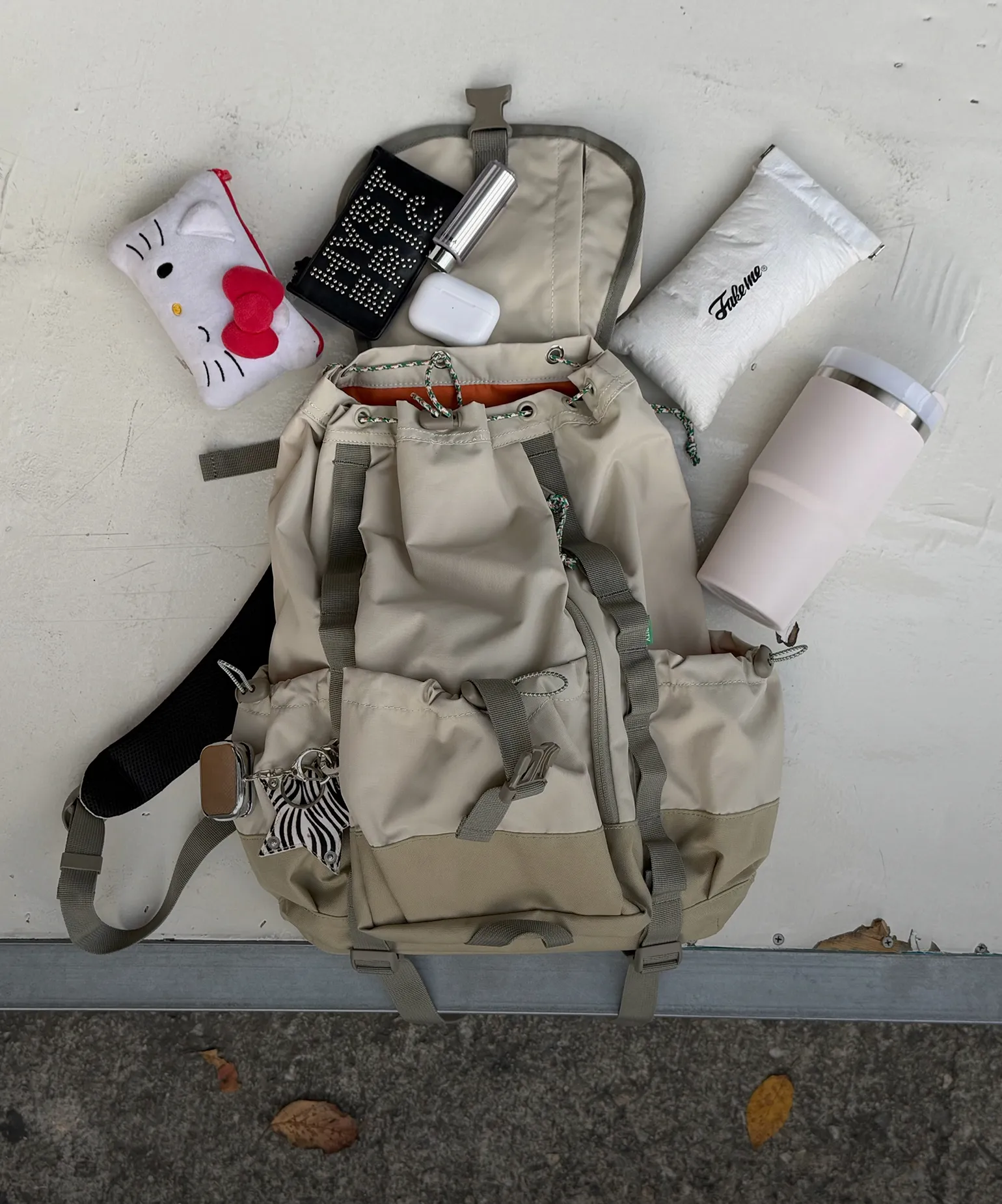 자유로운 여정의 동반자