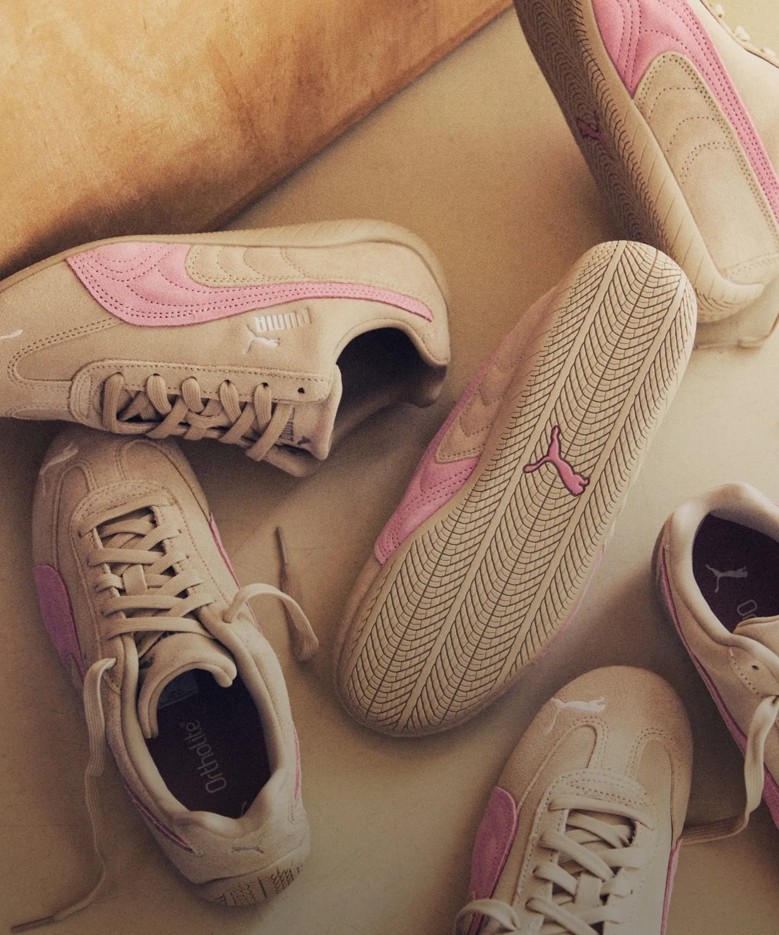 혜택으로 채우는 신발장