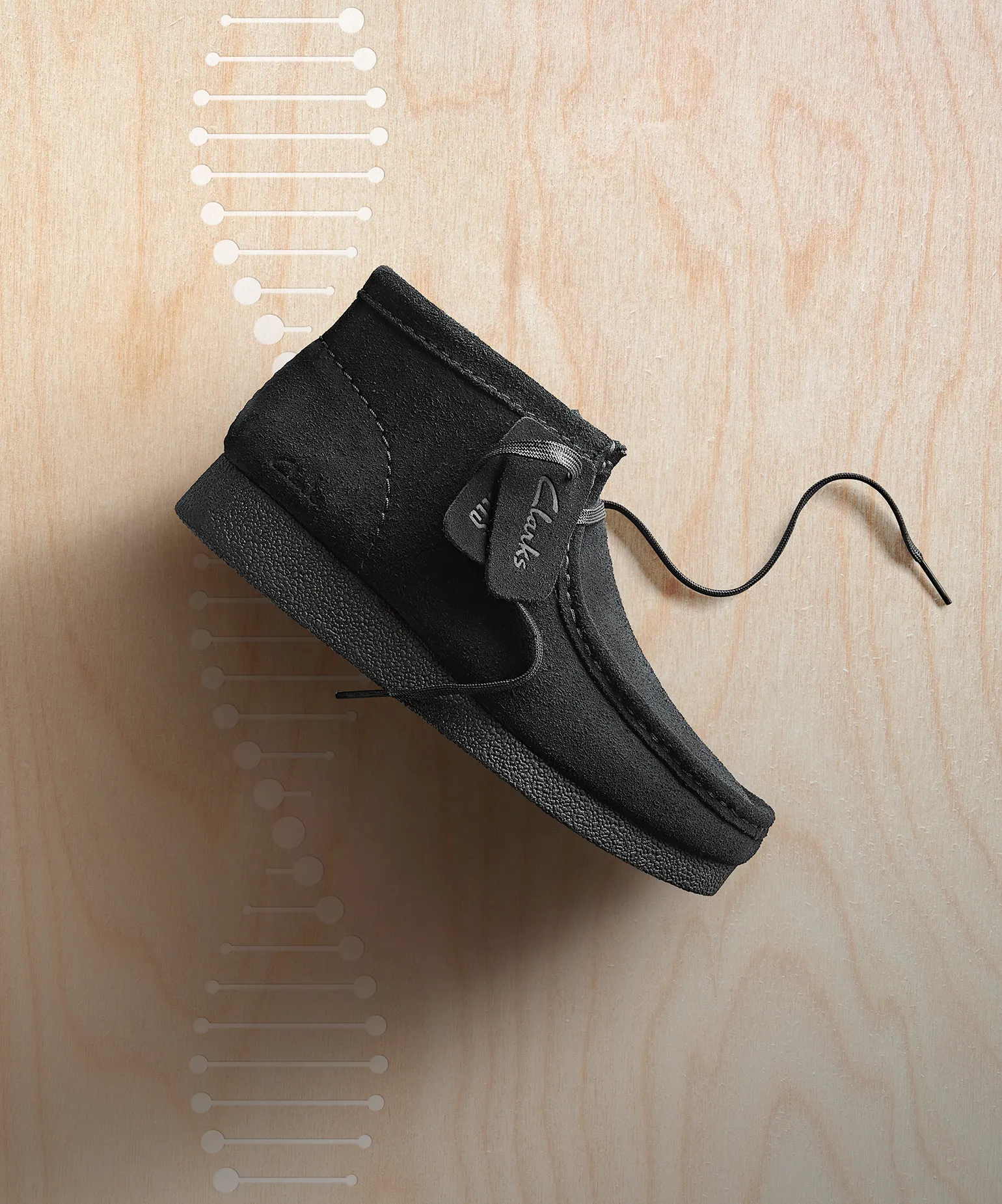 돌아온 왈라비의 계절