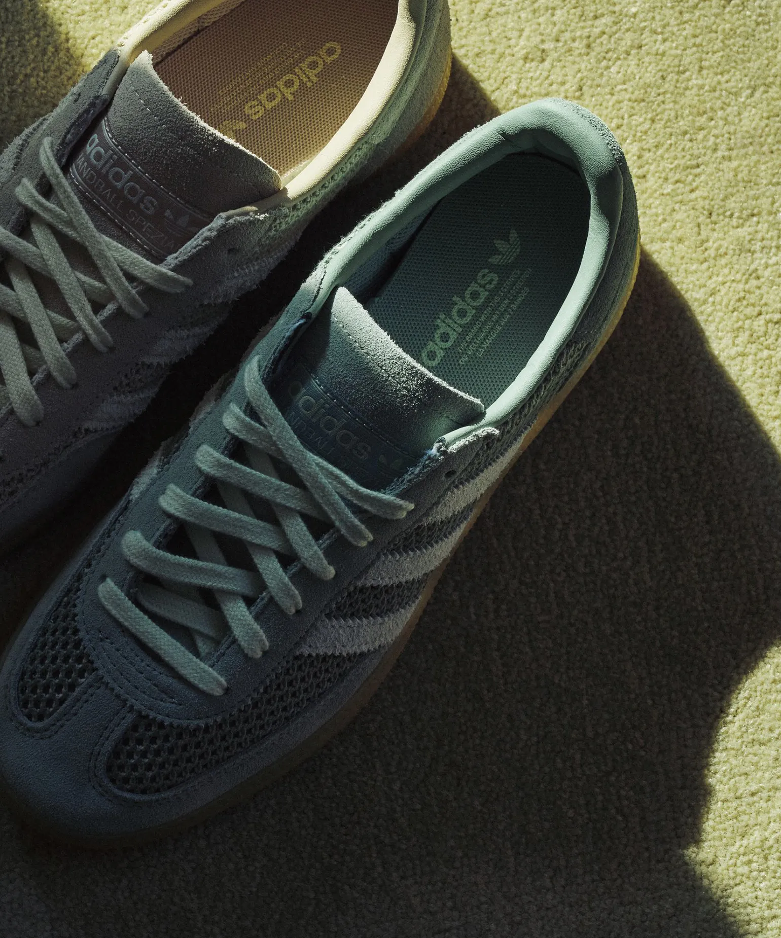 새로운 시즌이 시작돼요