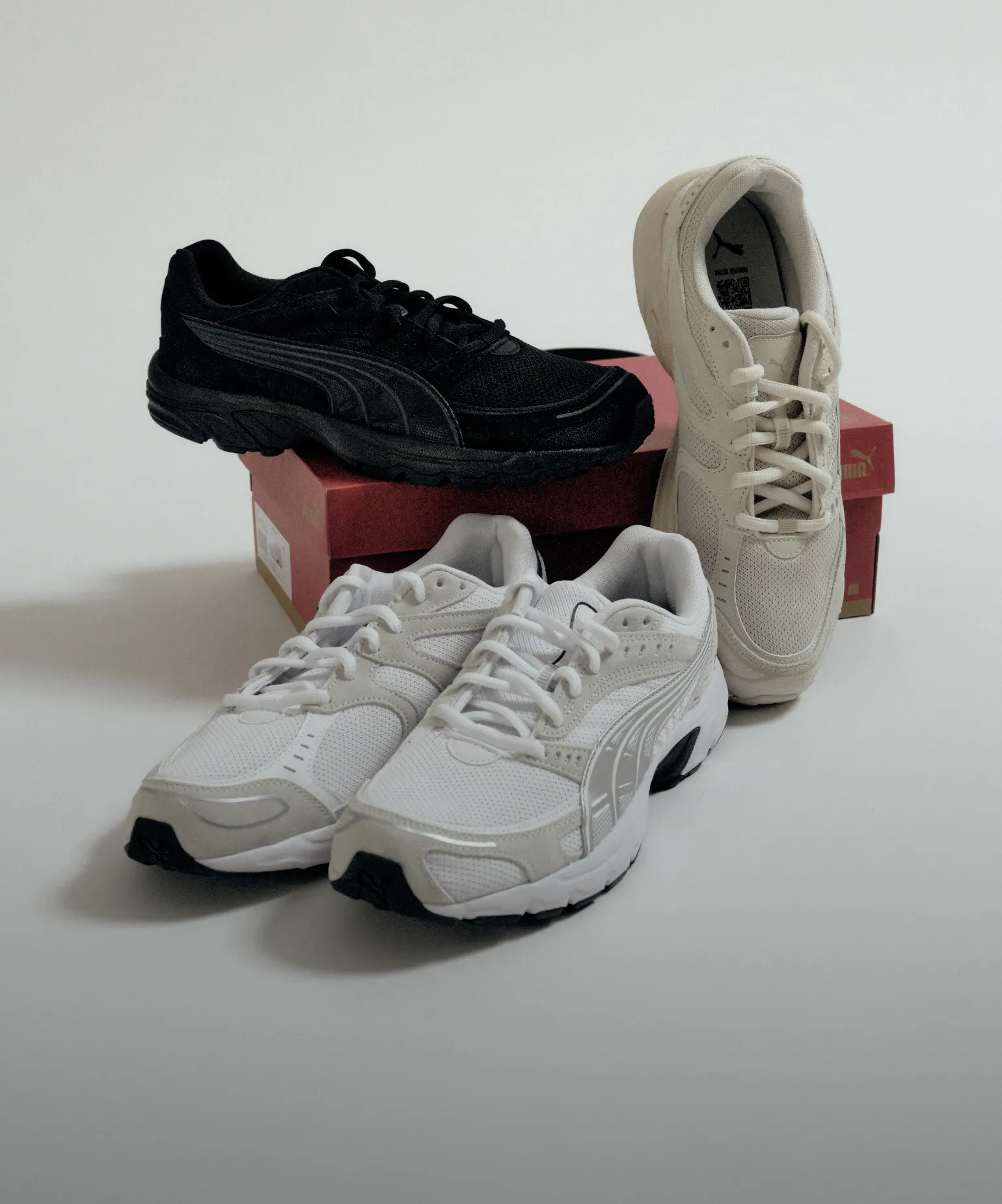 지금 막 도착한 신상