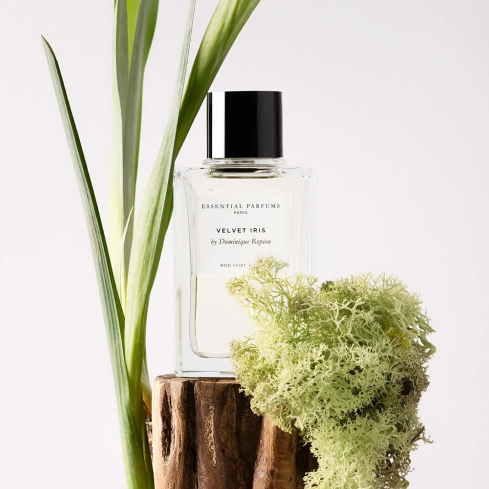 니치 향수 입점 소식