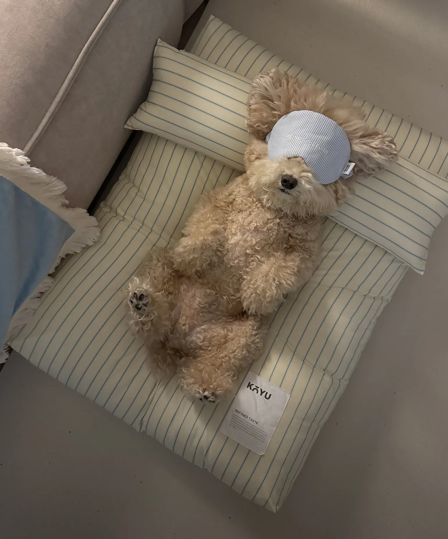 잠이 솔솔 오는
펫 쿠션