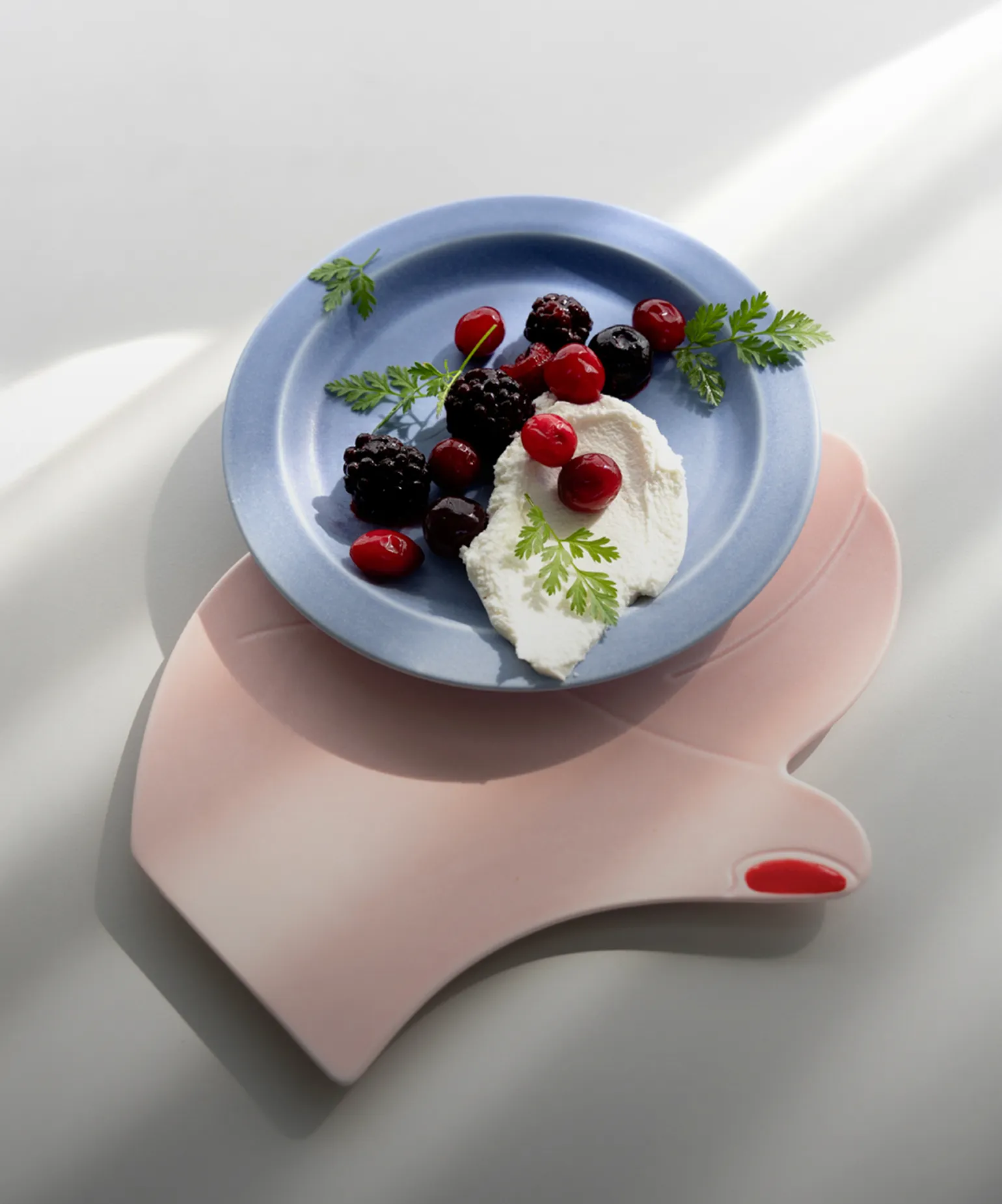 처음 만나는 취향