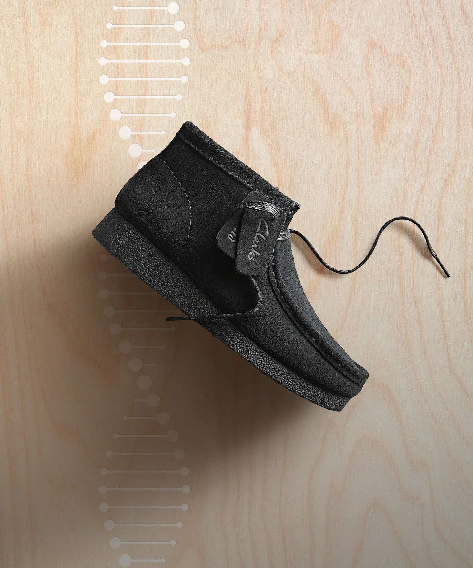 돌아온 왈라비의 계절