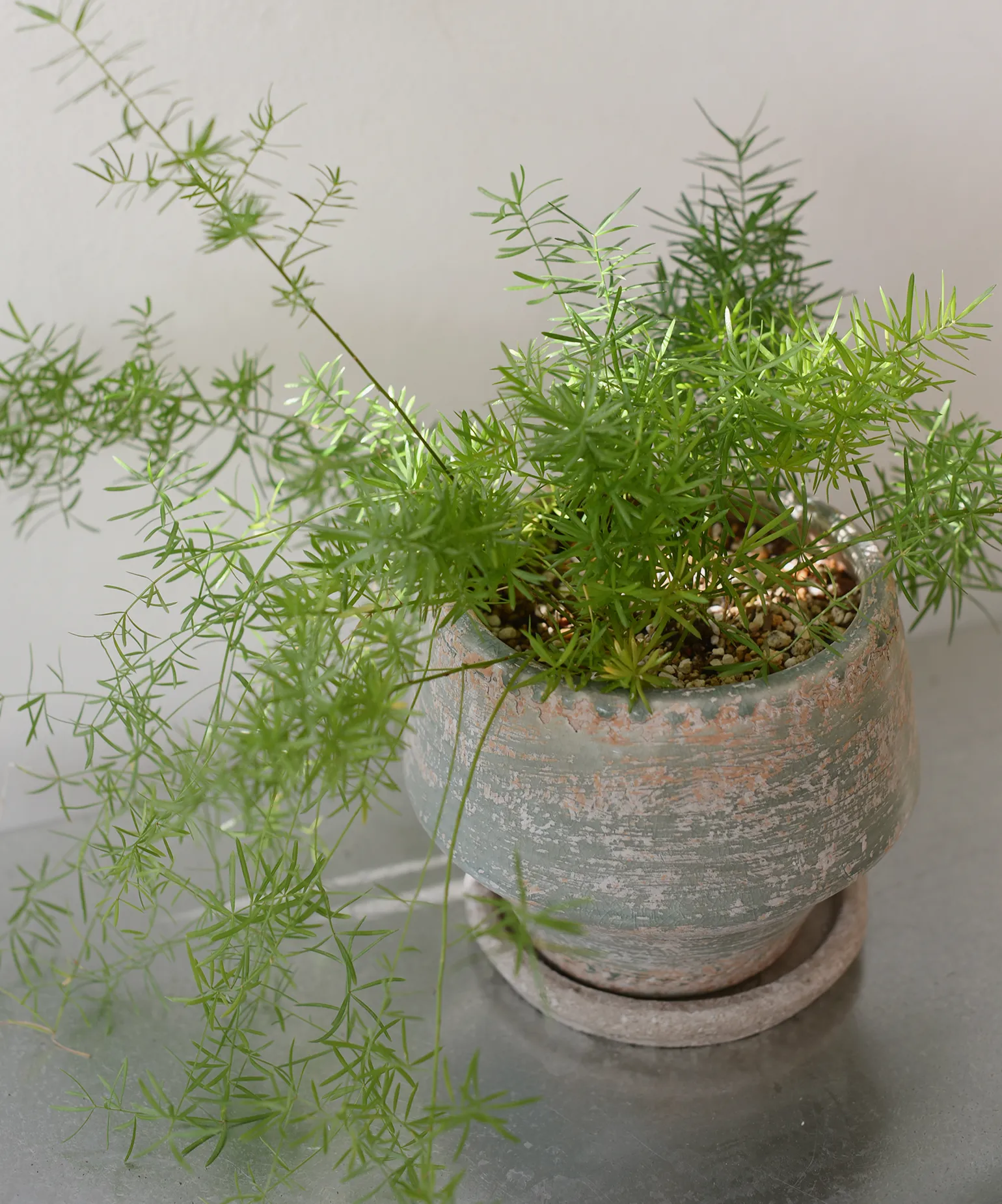 만나서 반가운
신규 브랜드