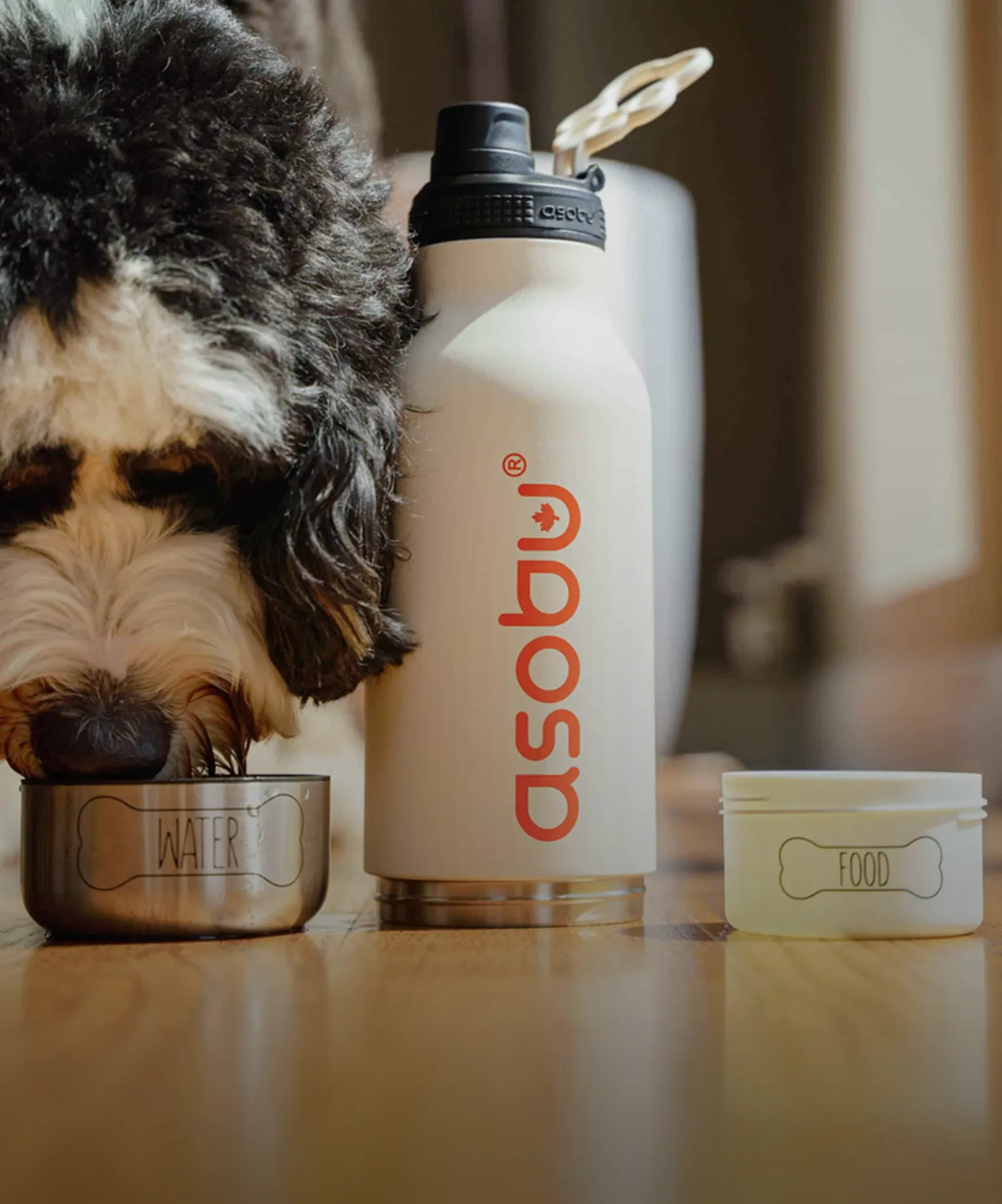 텀블러로 채우는 하루