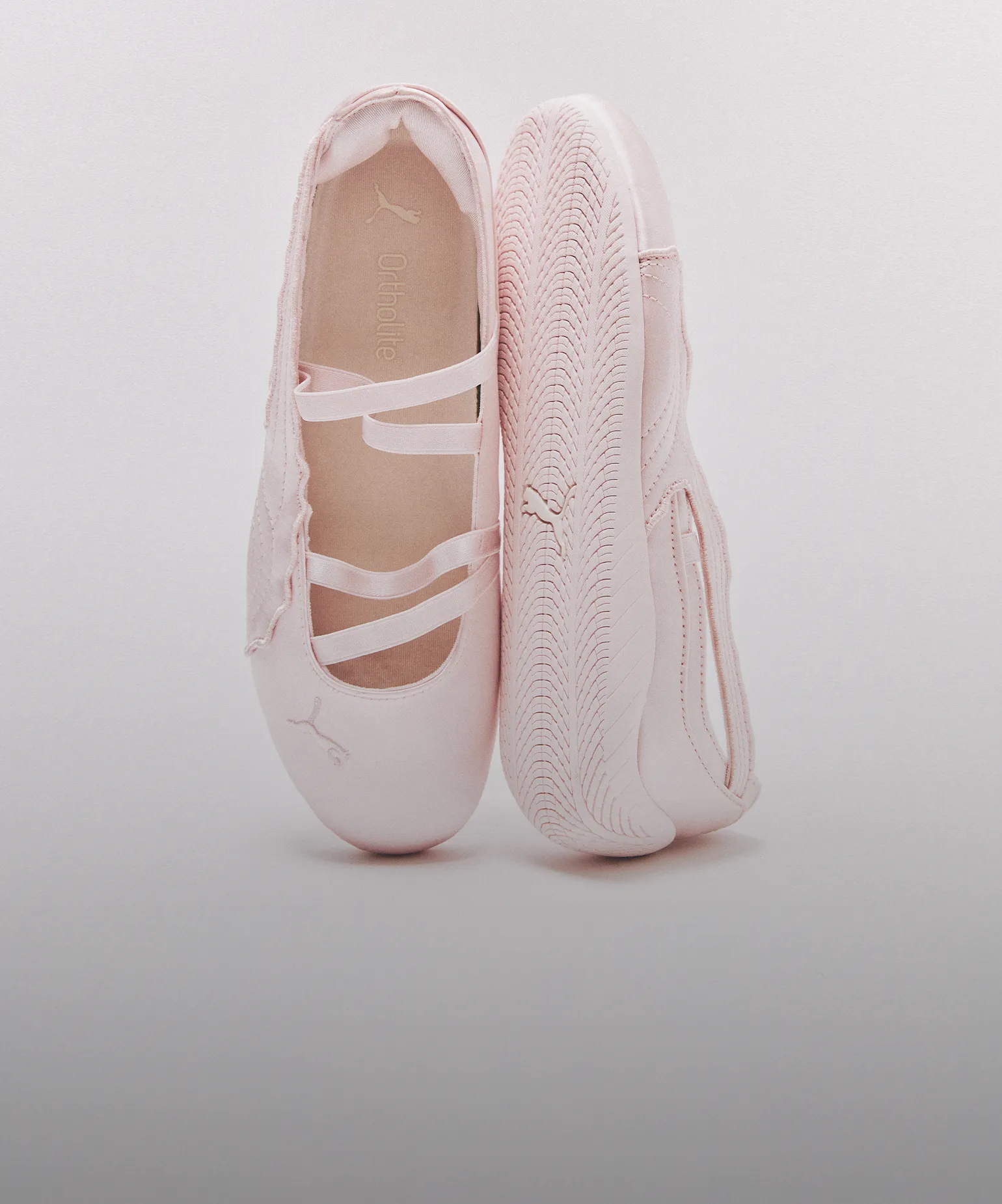 설레는 신상 소식