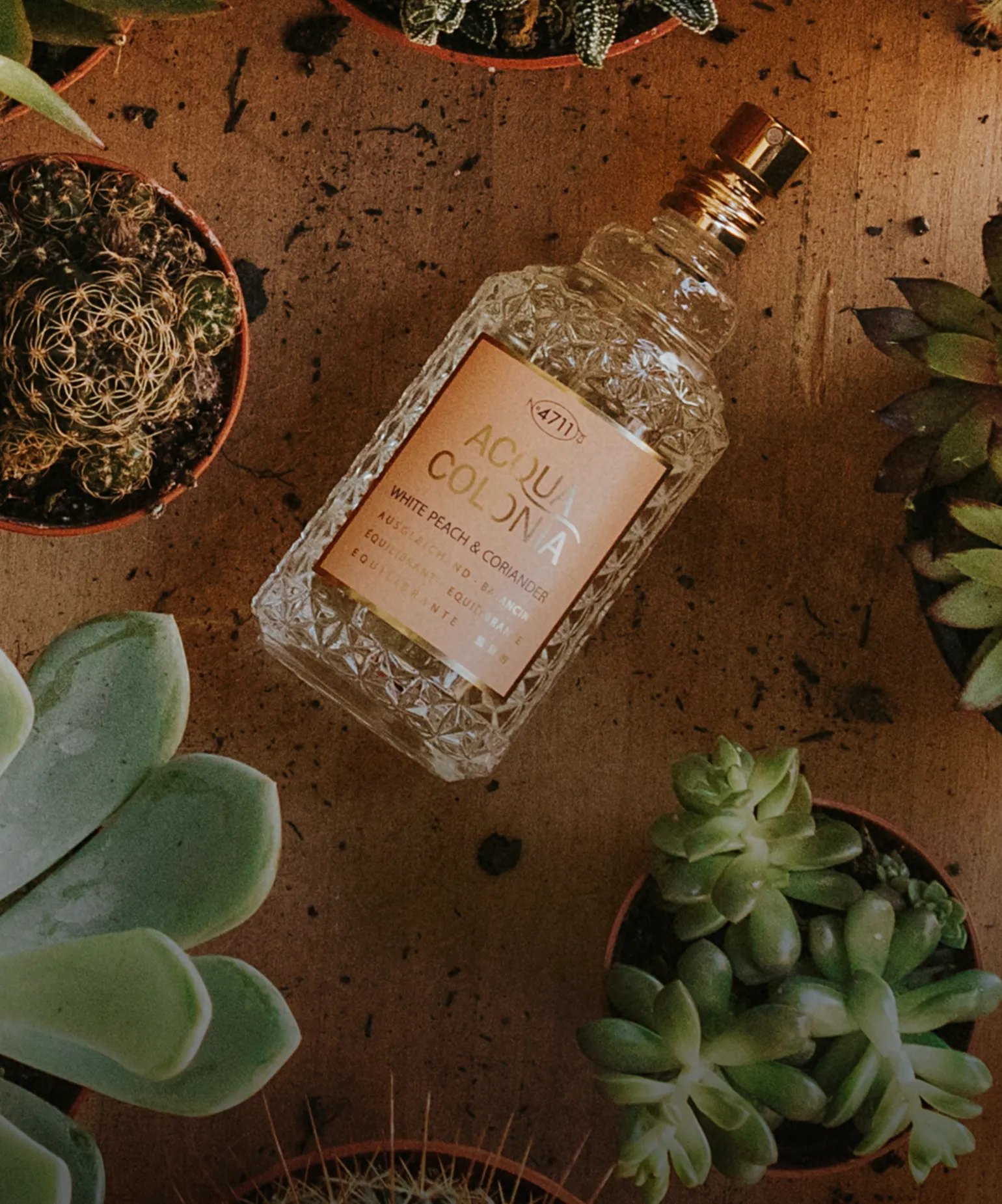 향으로 더하는 멋