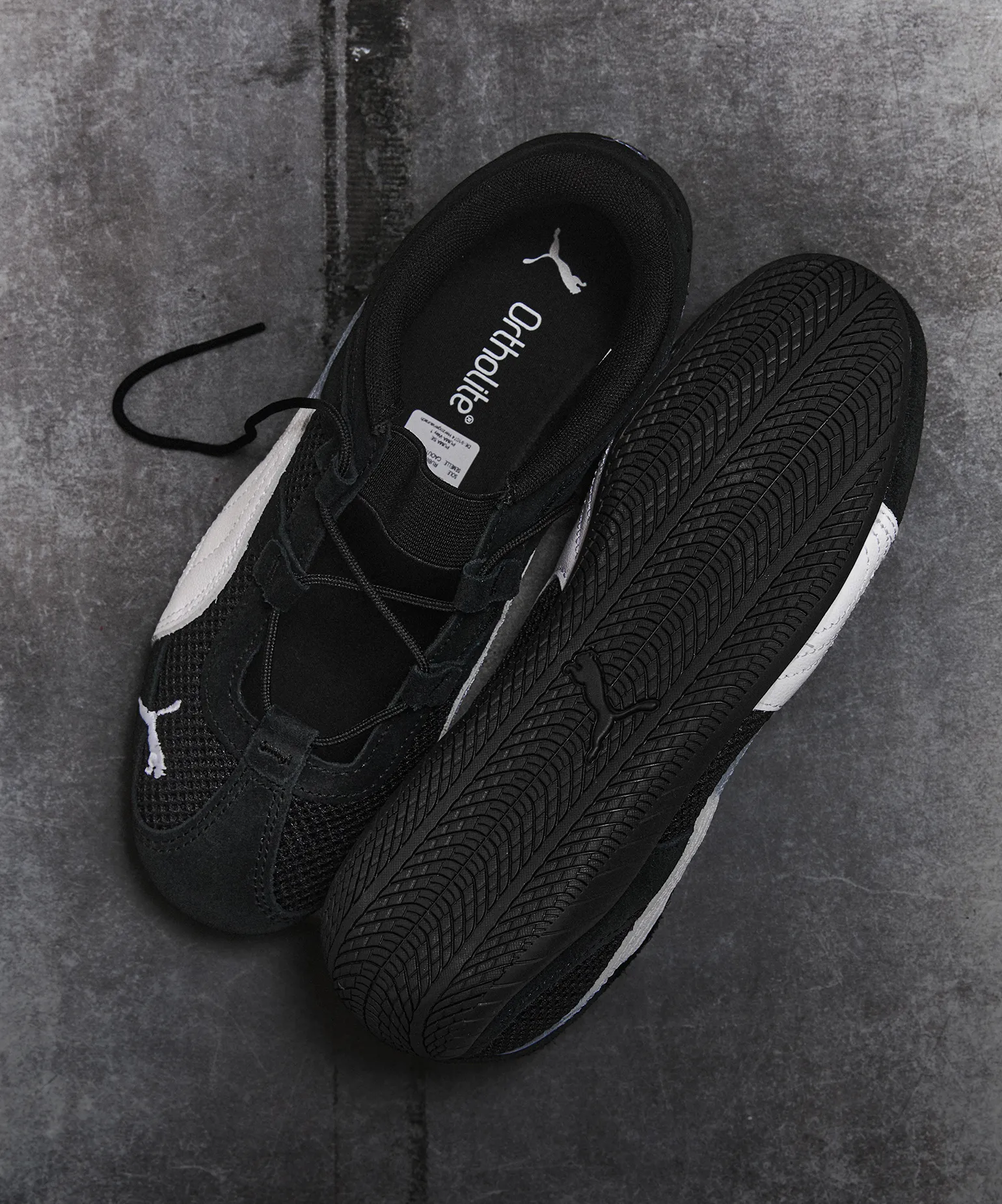 시선이 모이는 실루엣