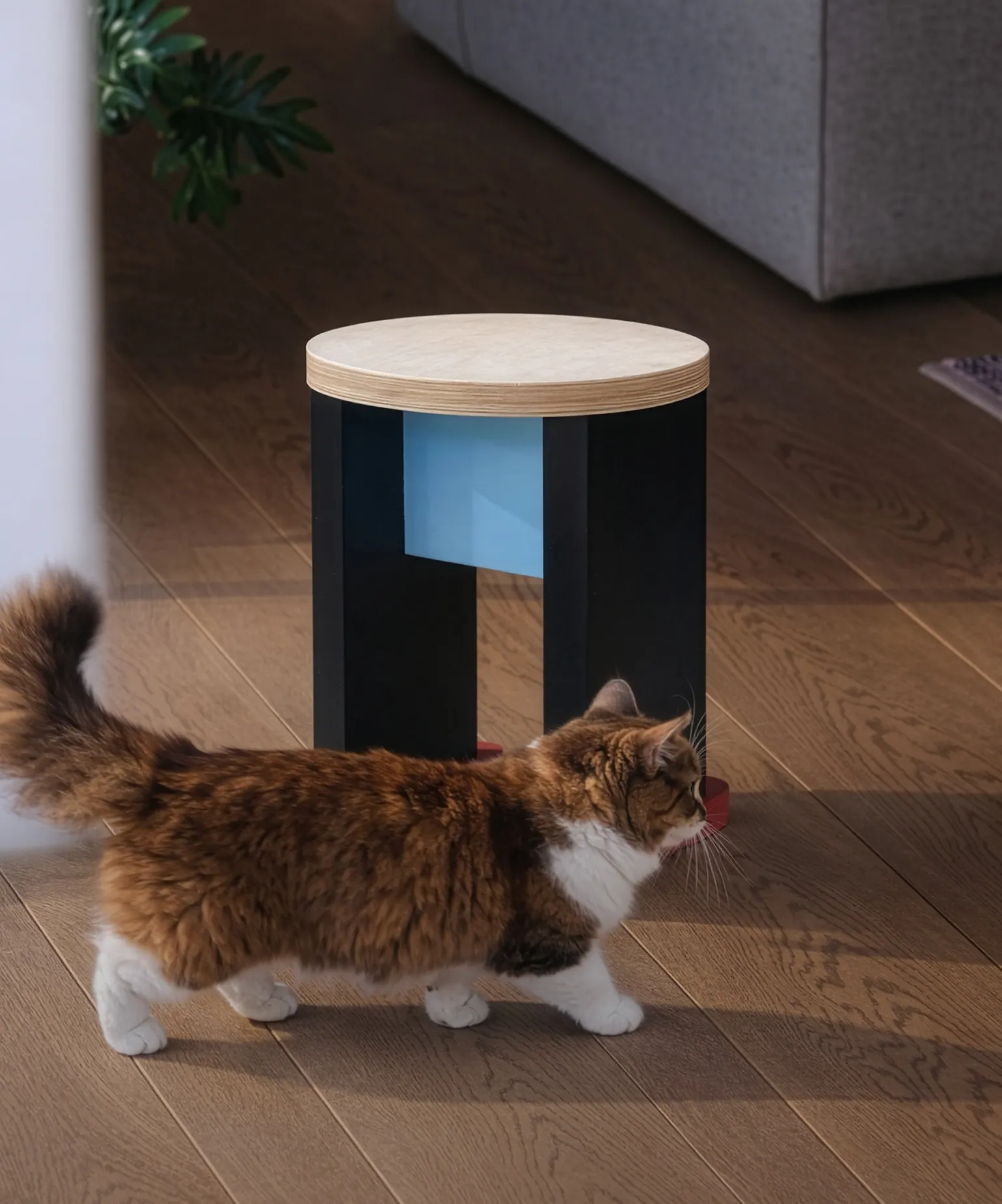 만나서 반가운
홈 취향