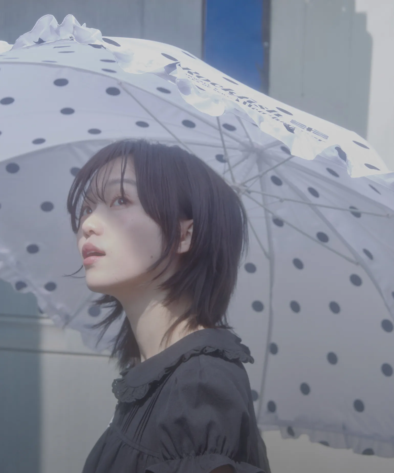 비가 기다려지는 이유