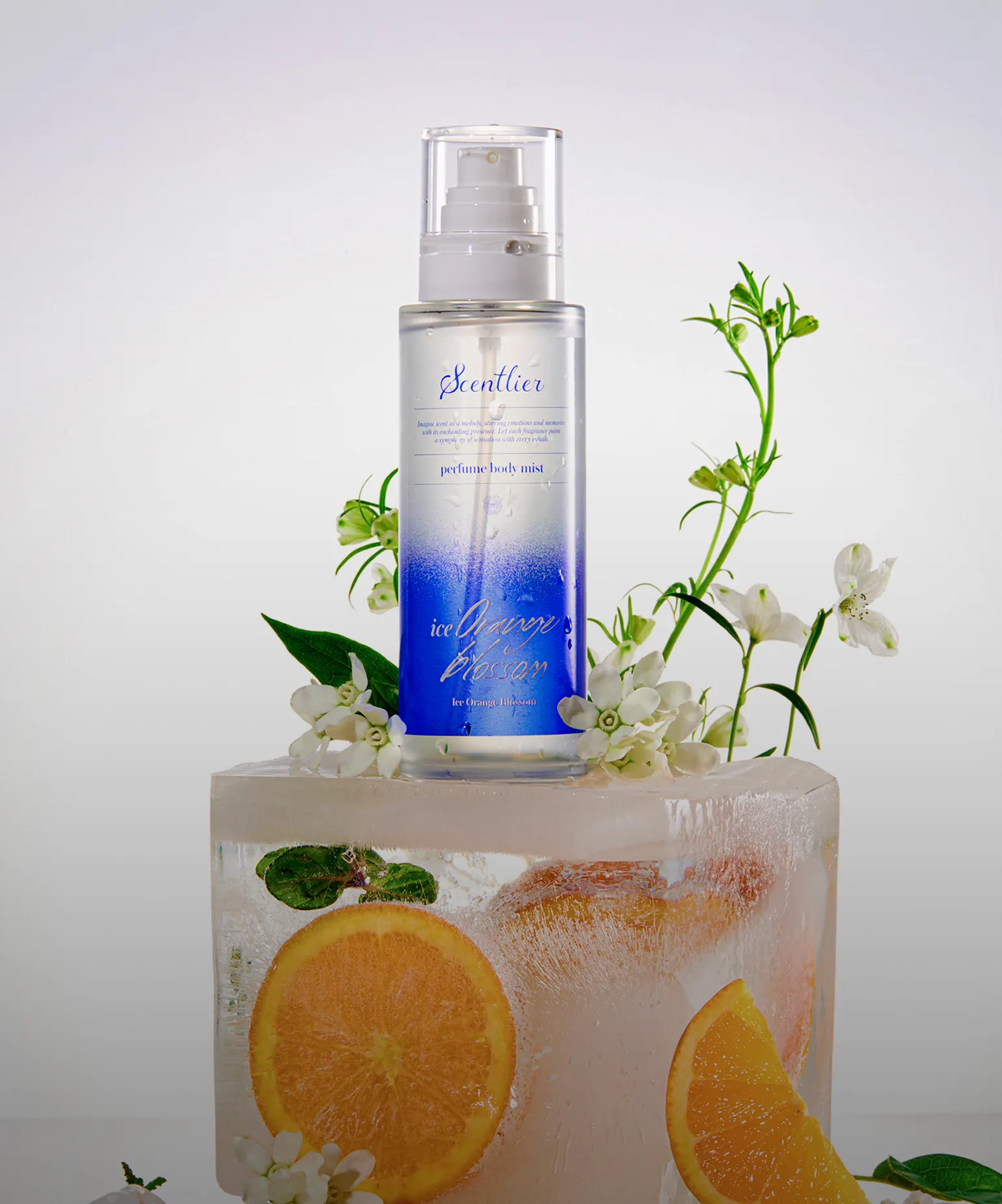 싱그러움을 머금은 향