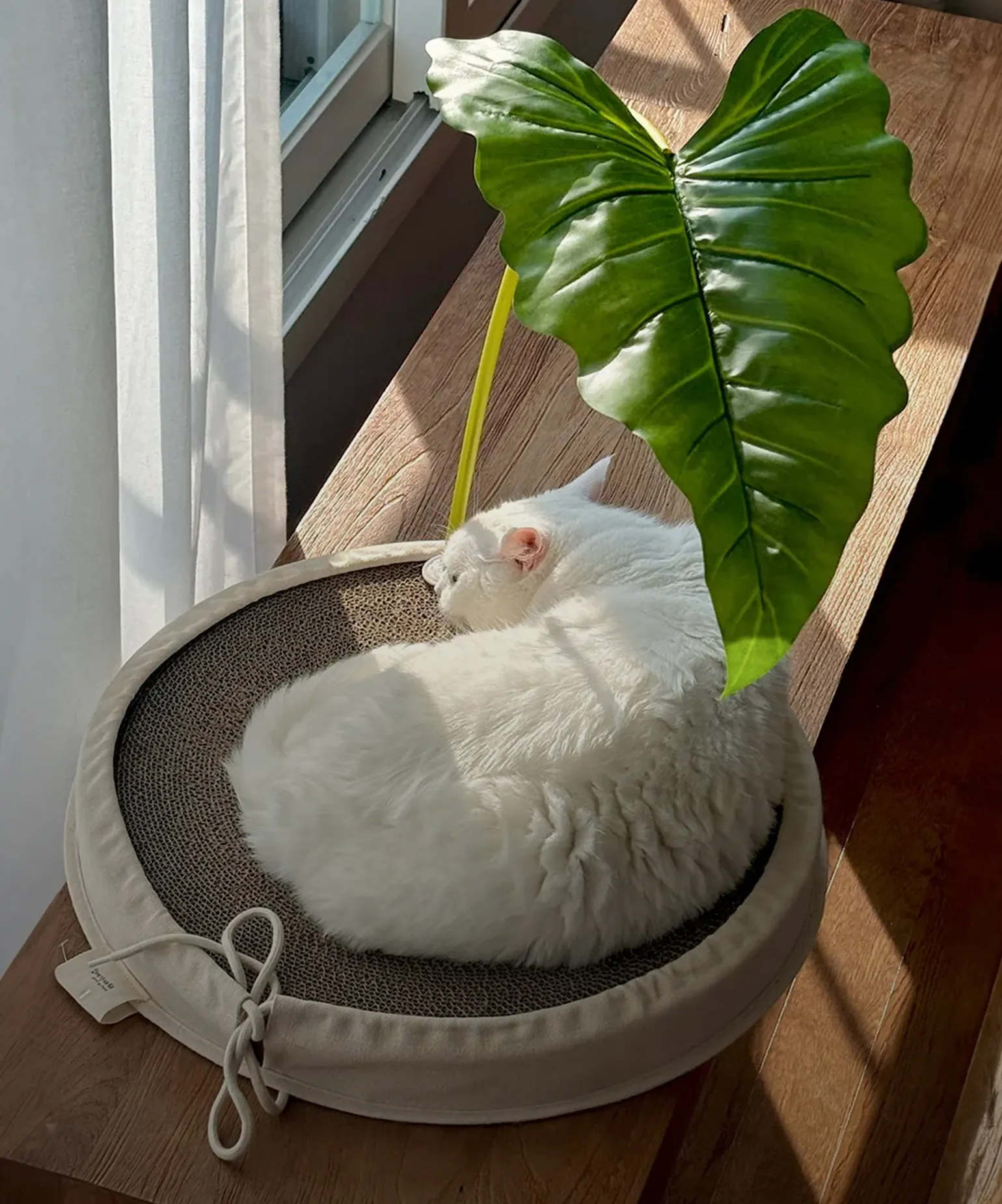 함께라서 더 좋아요