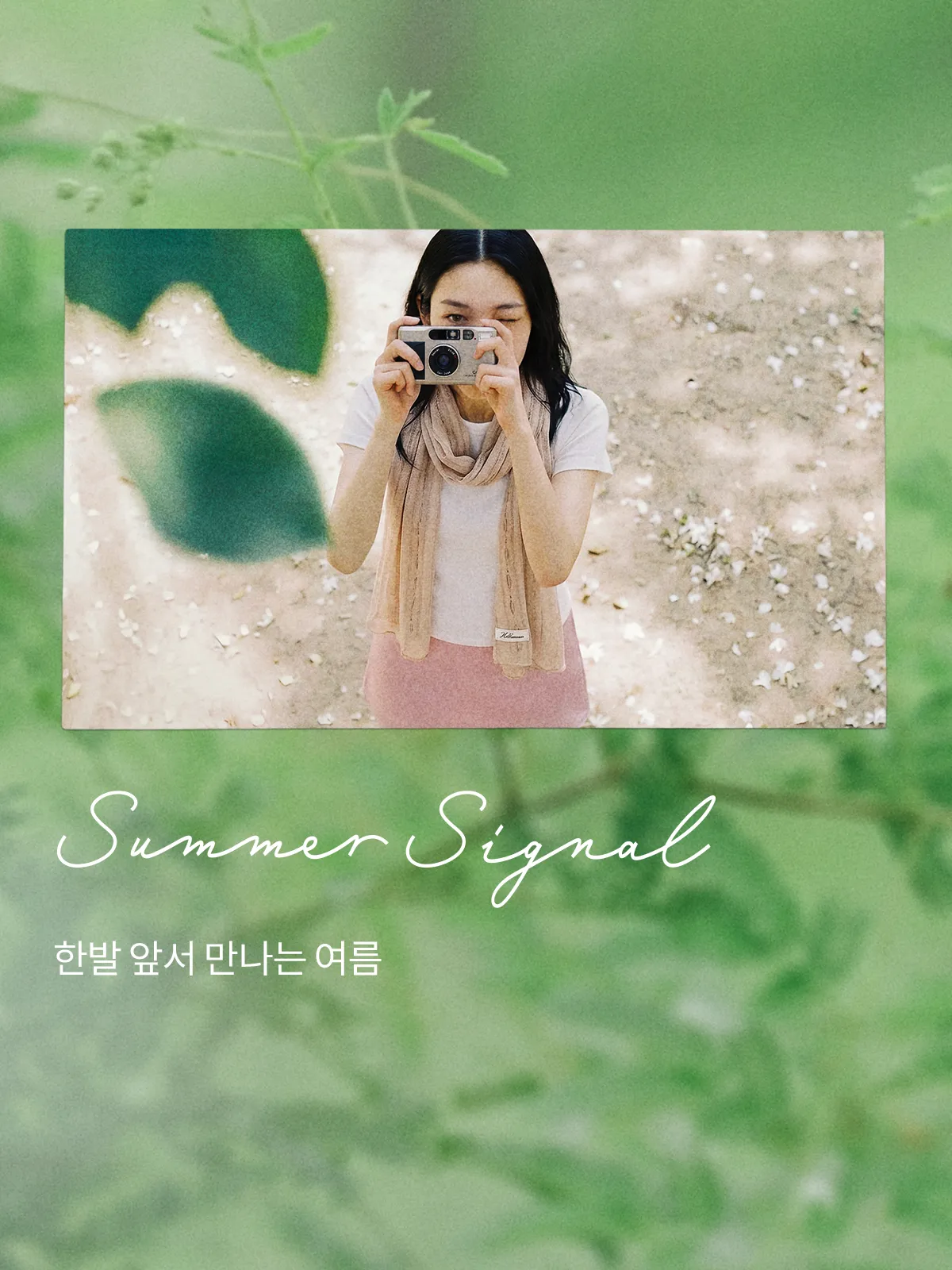 서머카운트다운
