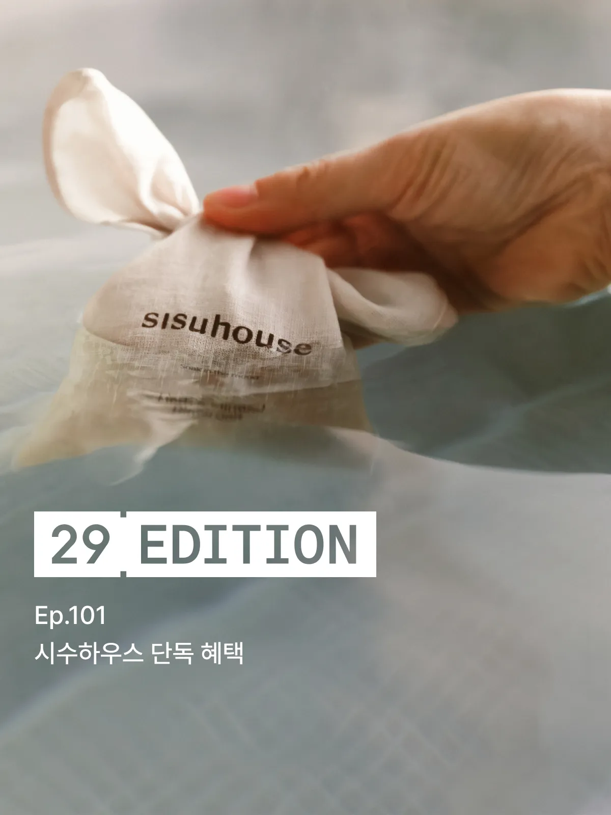 29 에디션