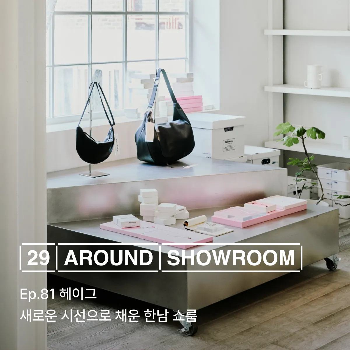 29 어라운드 쇼룸