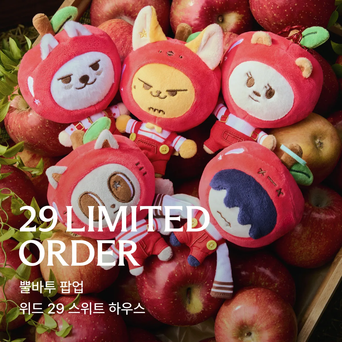 29 리미티드 오더